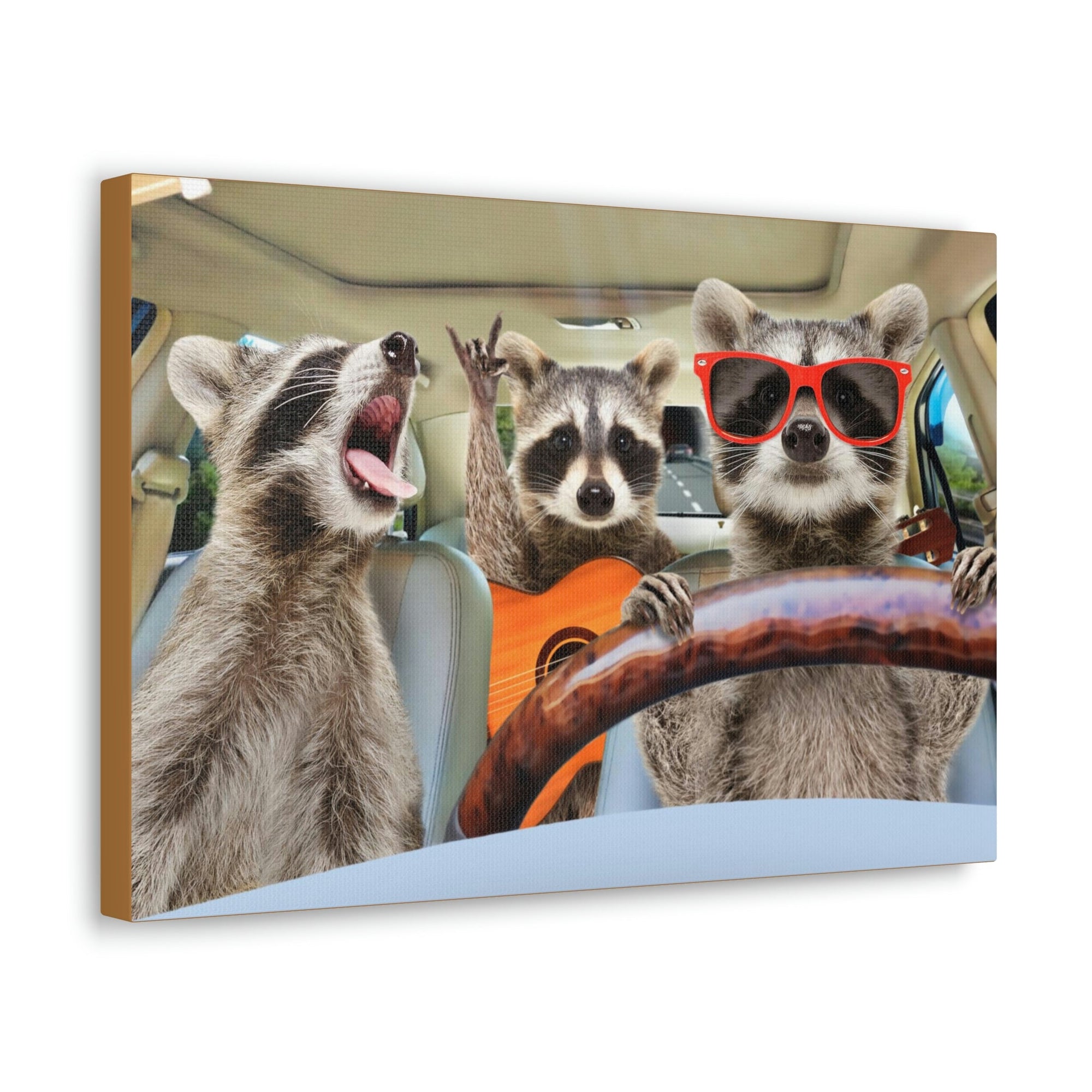 Funny Raccoon Silly Raccoon Couple Wall Art Ready to Hang Unframed-Express Your Love Gifts