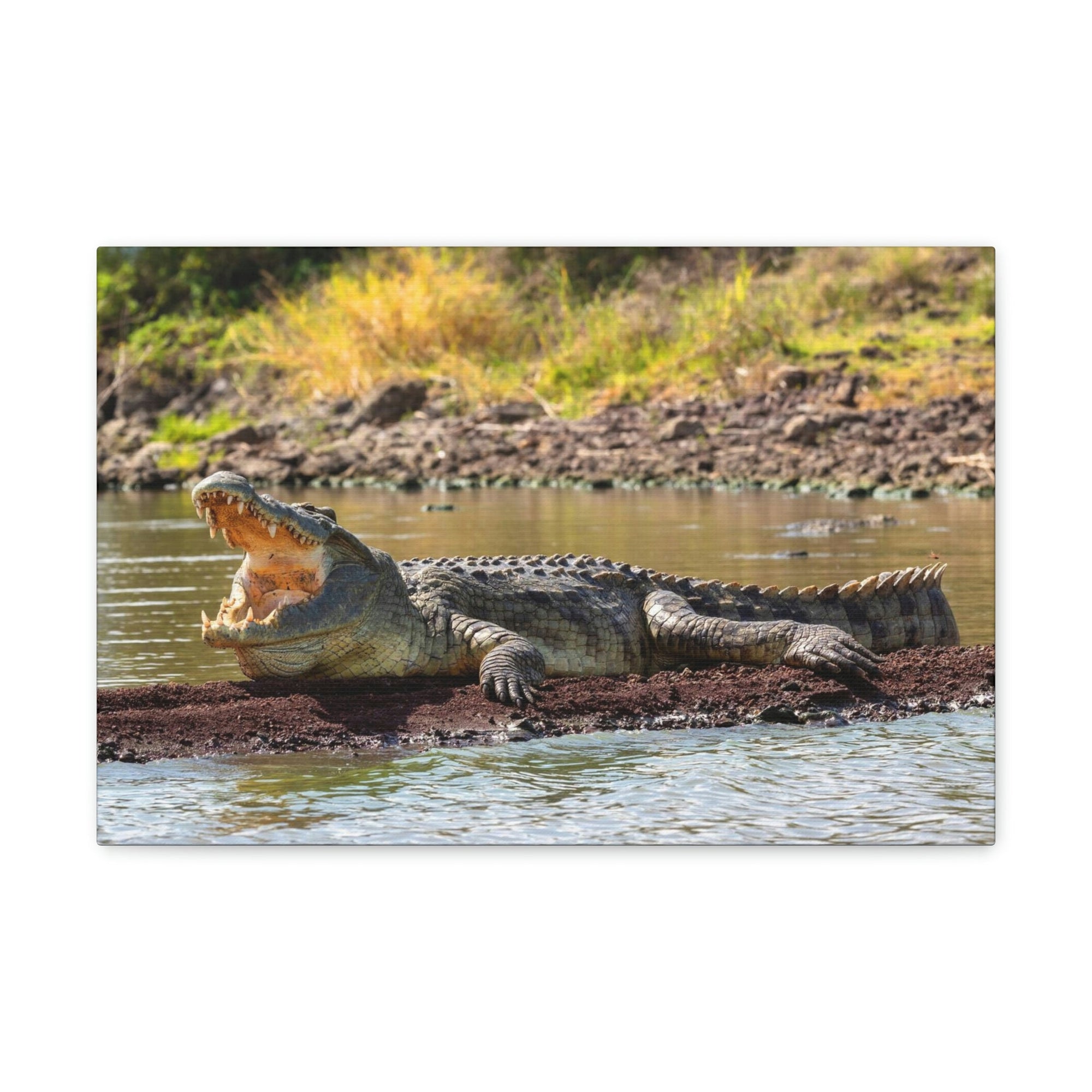 Scripture Walls Majestic Alligator Art Majestic Alligator Print Animal Wall Art Wildlife Canvas Prints Wall Art Ready to Hang Unframed-Express Your Love Gifts