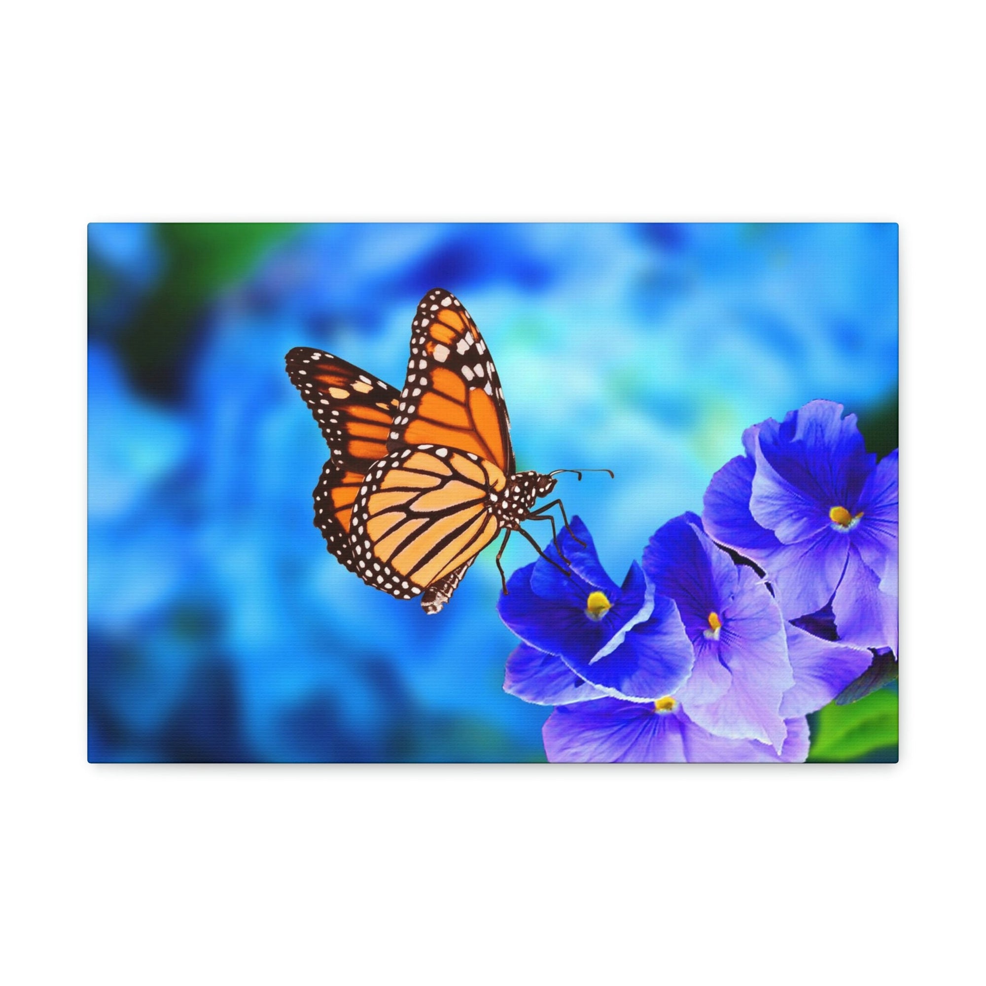 Scripture Walls Majestic Butterfly Art Majestic Butterfly Print Animal Wall Art Wildlife Canvas Prints Wall Art Ready to Hang Unframed-Express Your Love Gifts