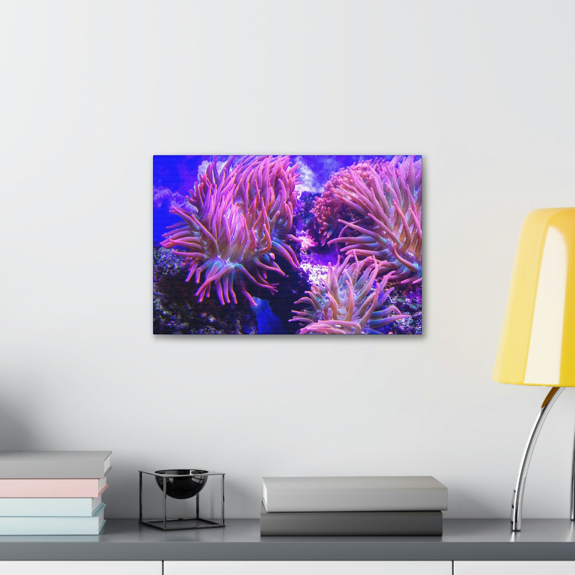 Scripture Walls Majestic Sea Anemone Art Majestic Sea Anemone Print Animal Wall Art Wildlife Canvas Prints Wall Art Ready to Hang Unframed-Express Your Love Gifts