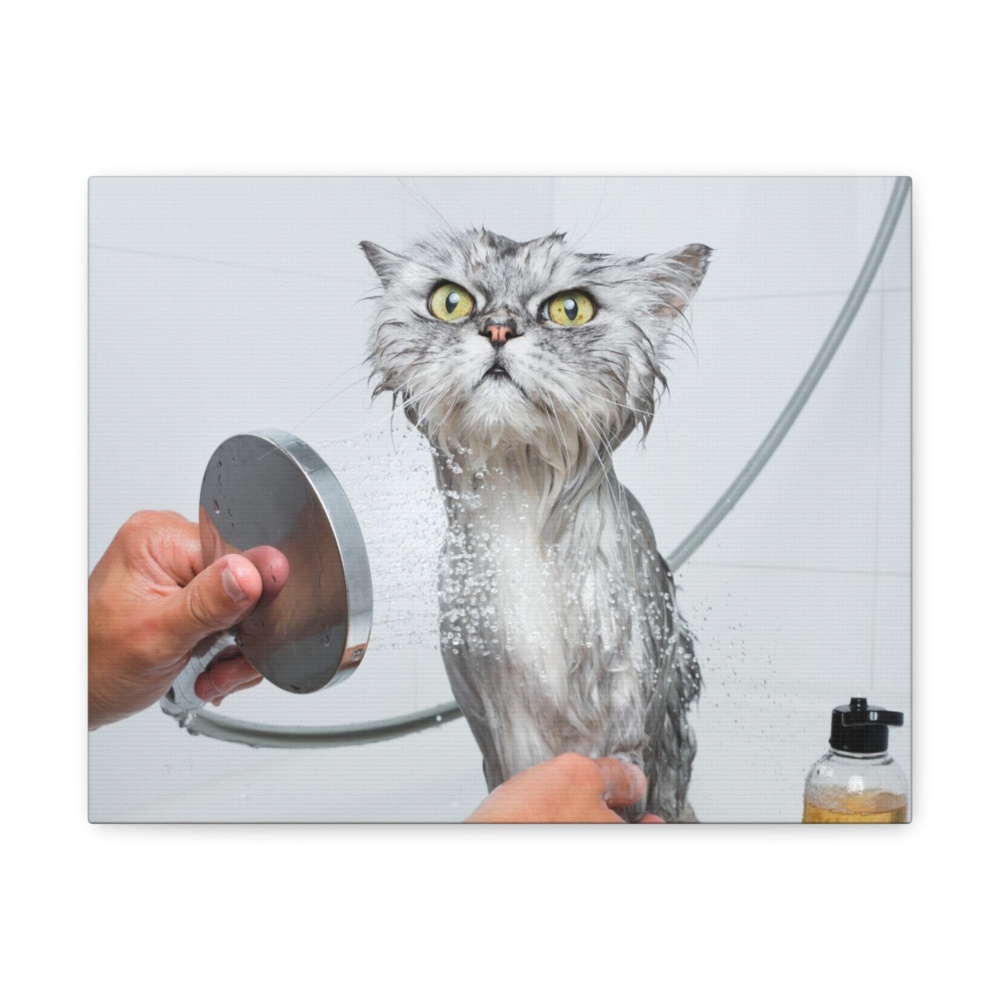 Funny Wet Cat Bath Canvas Wall Art for Home Decor Ready-to-Hang-Express Your Love Gifts