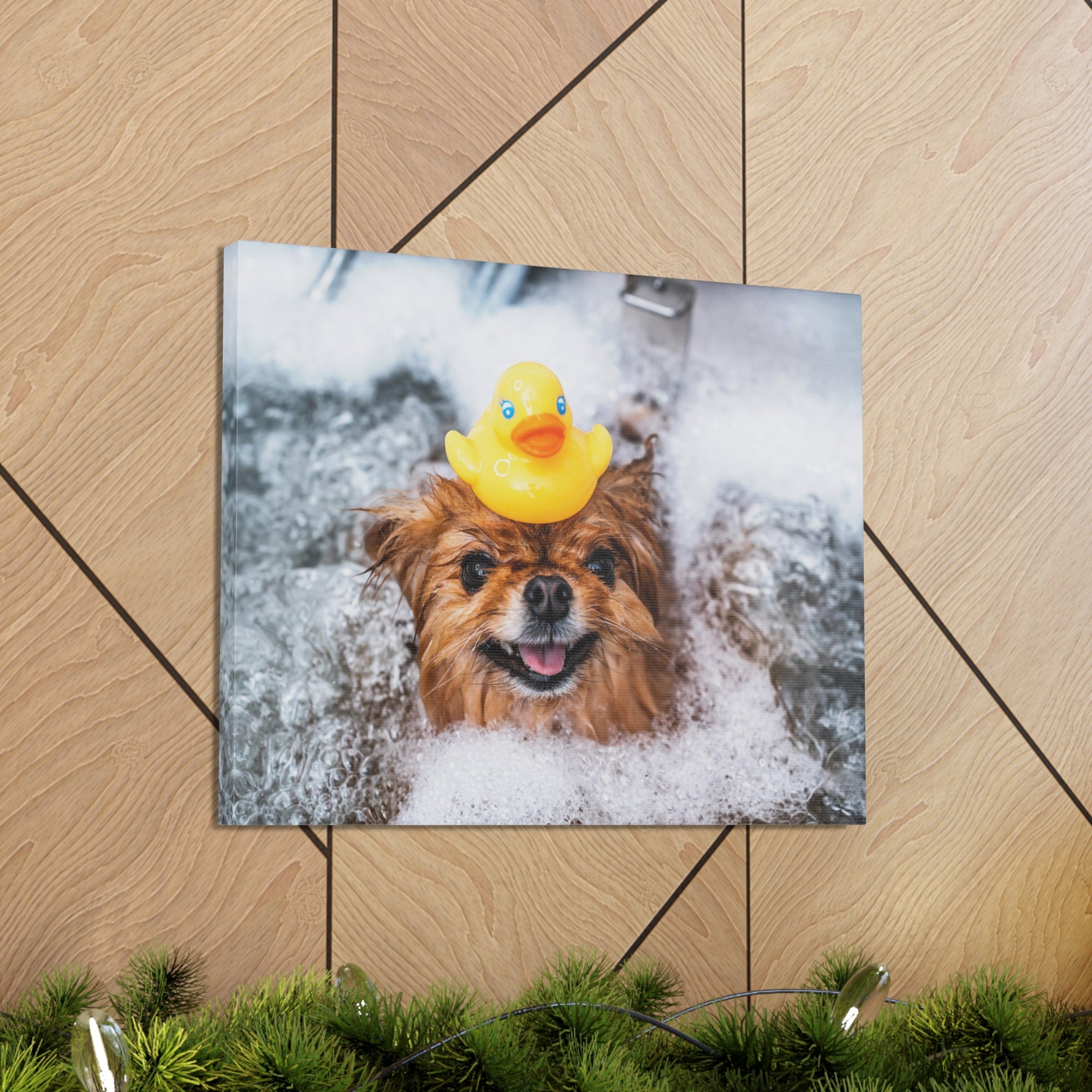 Funny Spitz Bathee Canvas Wall Art for Home Decor Ready-to-Hang-Express Your Love Gifts