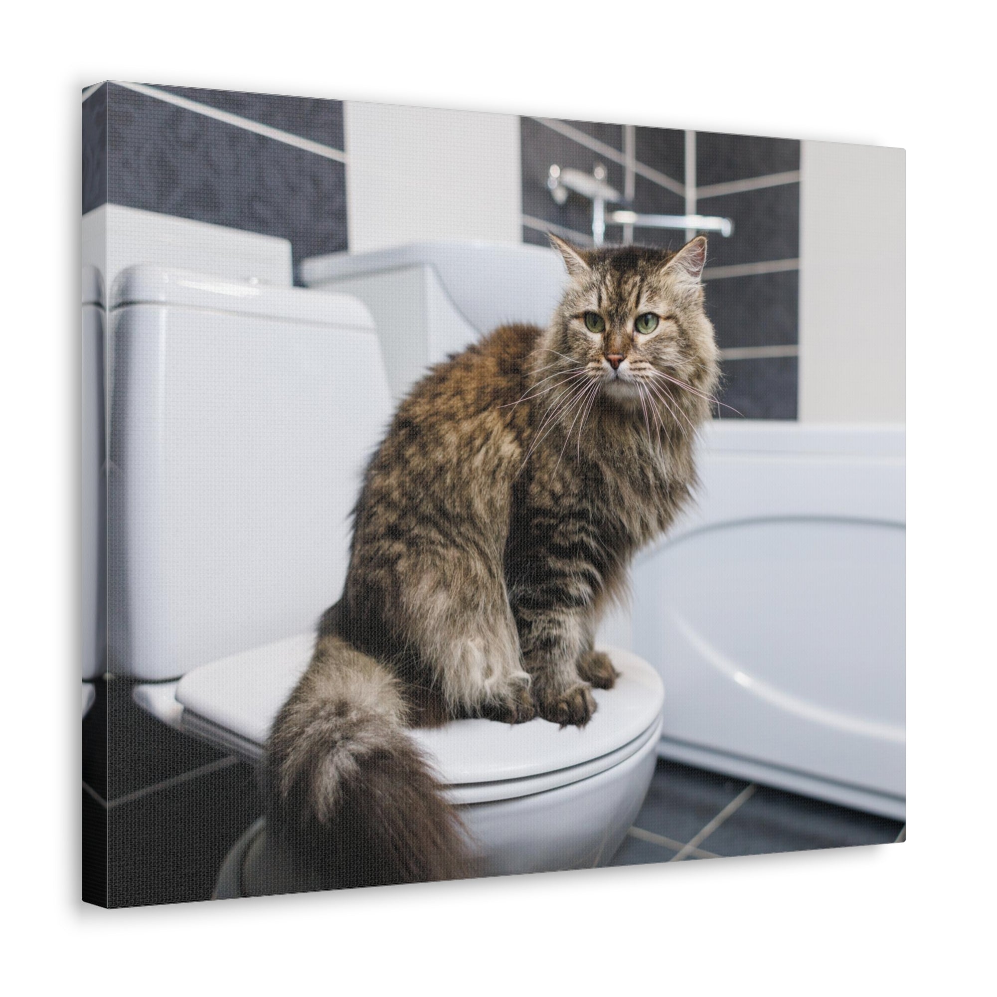 Cute Cat Sitting On Toilet Funny Canvas Wall Art for Home Decor Ready-to-Hand-Express Your Love Gifts