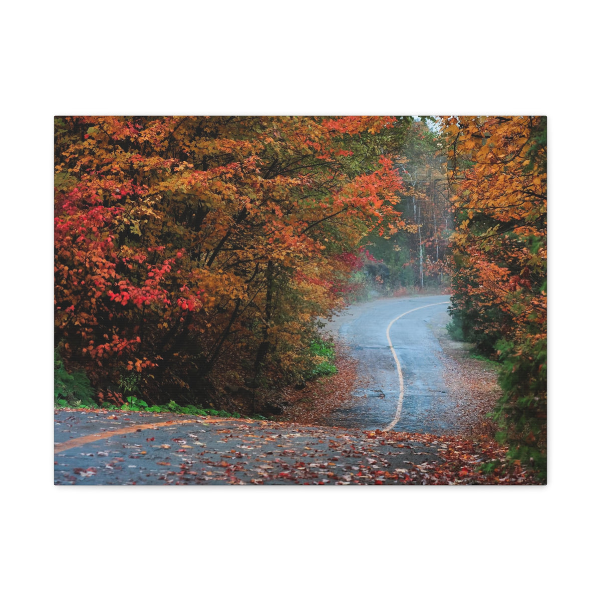 Autumn Forest Misty Path Nature Wilderness Photography Canvas Wall Art for Home Decor Ready-to-Hang-Express Your Love Gifts