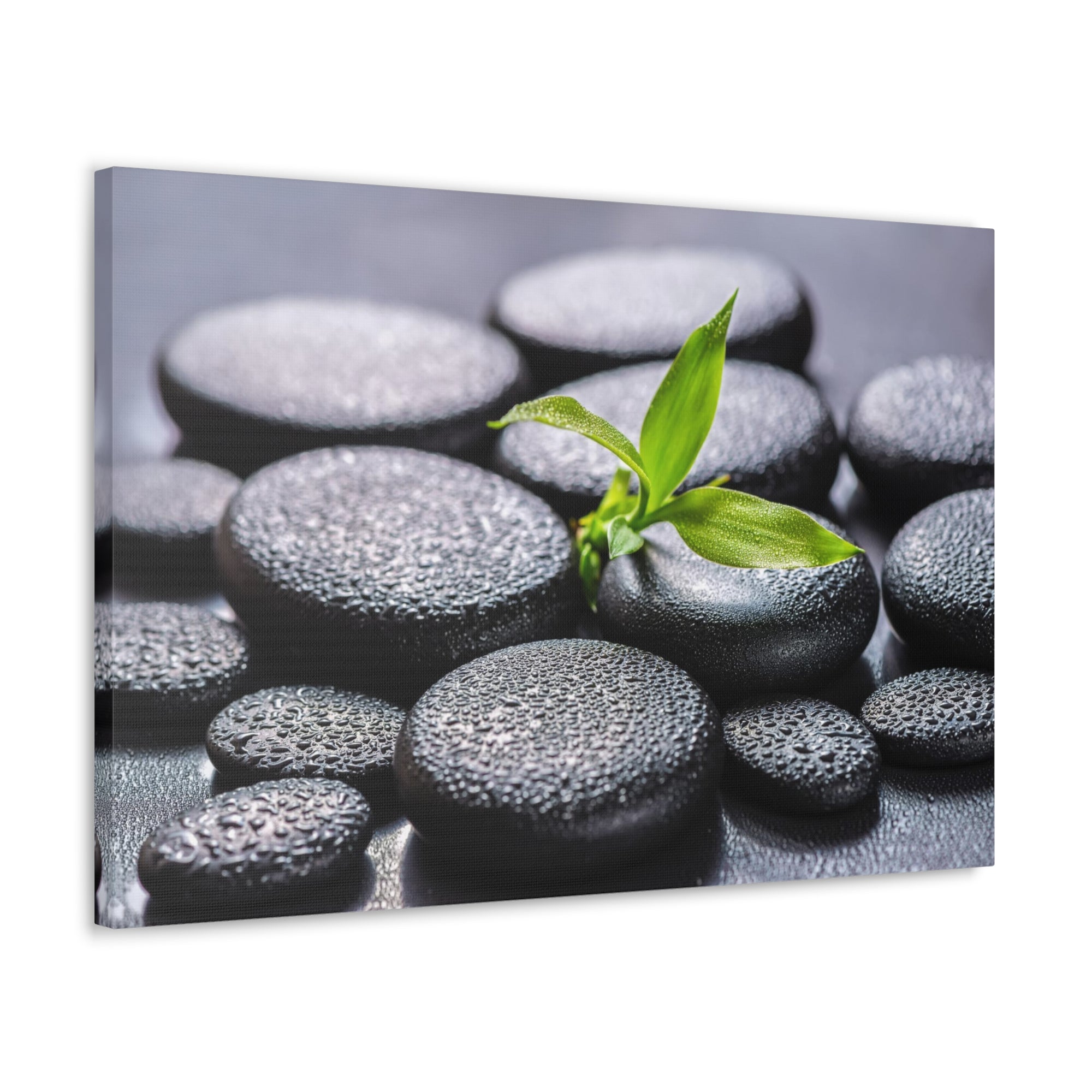 Bamboo on Zen Stones Forest Floral Nature Photography Canvas Wall Art for Home Decor Ready-to-Hang-Express Your Love Gifts