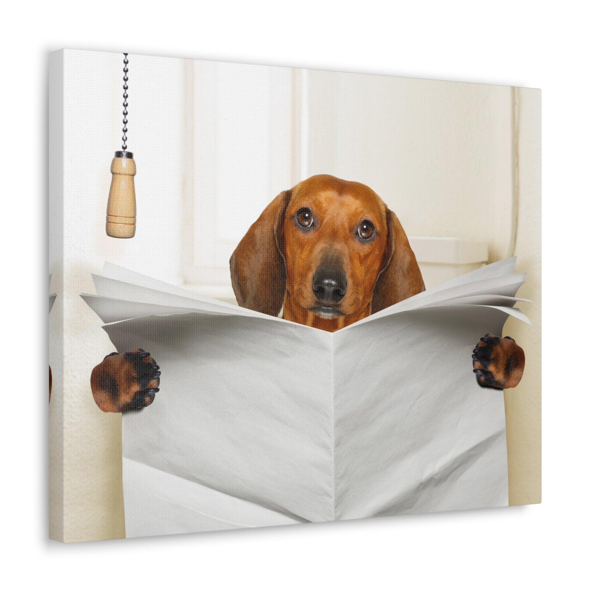 Funny Sausage Dachshund Reading Blank Paper On Toilet Funny Canvas Wall Art for Home Decor Ready-to-Hand-Express Your Love Gifts