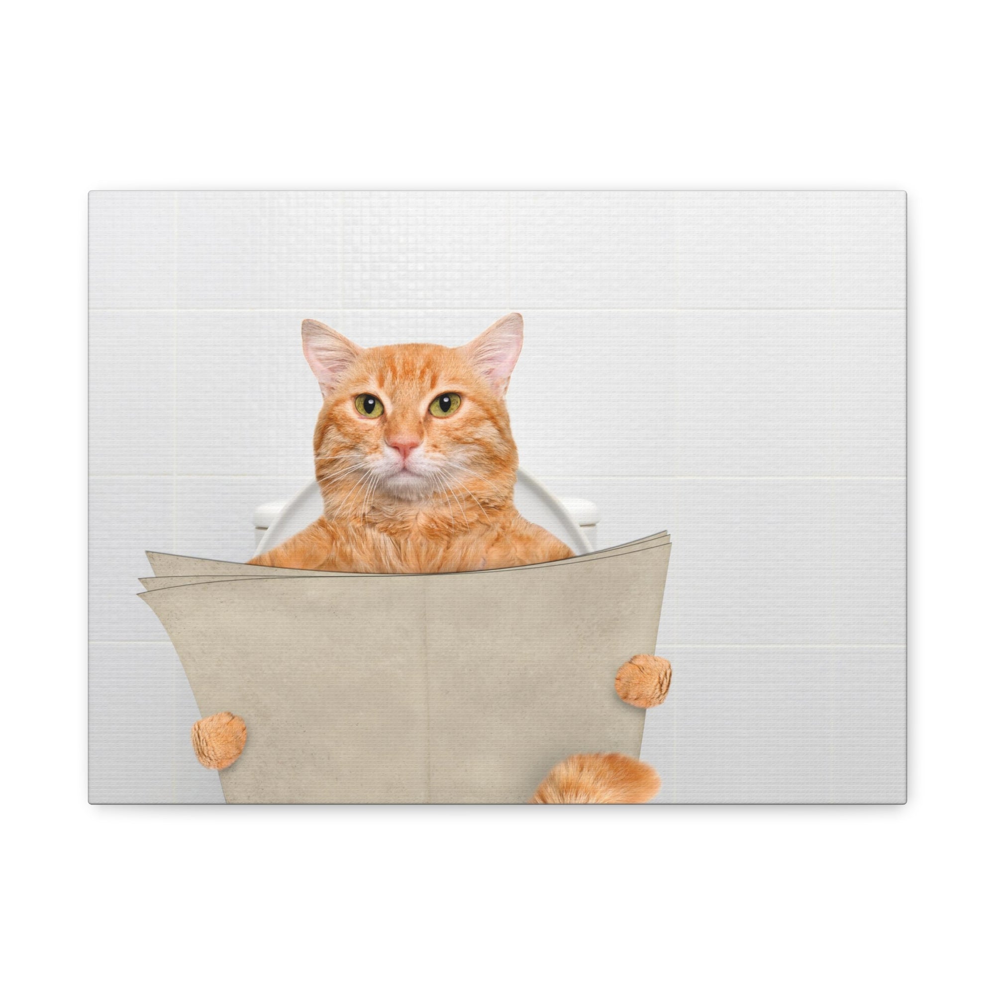 Funny Cat Reading Newspaper On Toilet Funny Canvas Wall Art for Home Decor Ready-to-Hand-Express Your Love Gifts