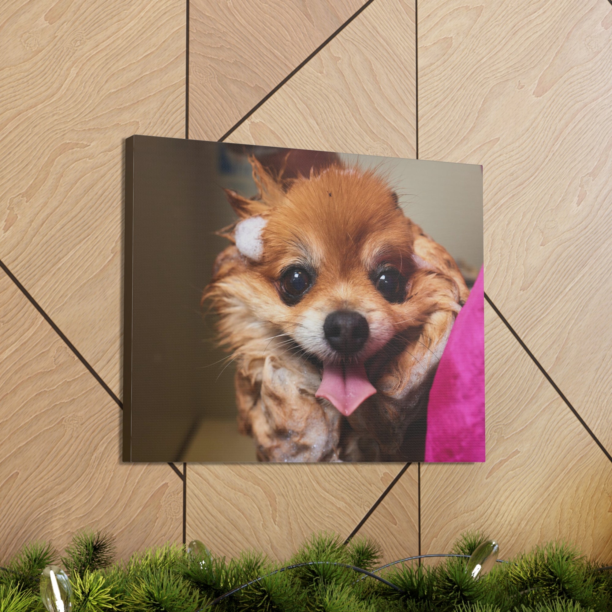 Funny Corgi Bathee Canvas Wall Art for Home Decor Ready-to-Hang-Express Your Love Gifts