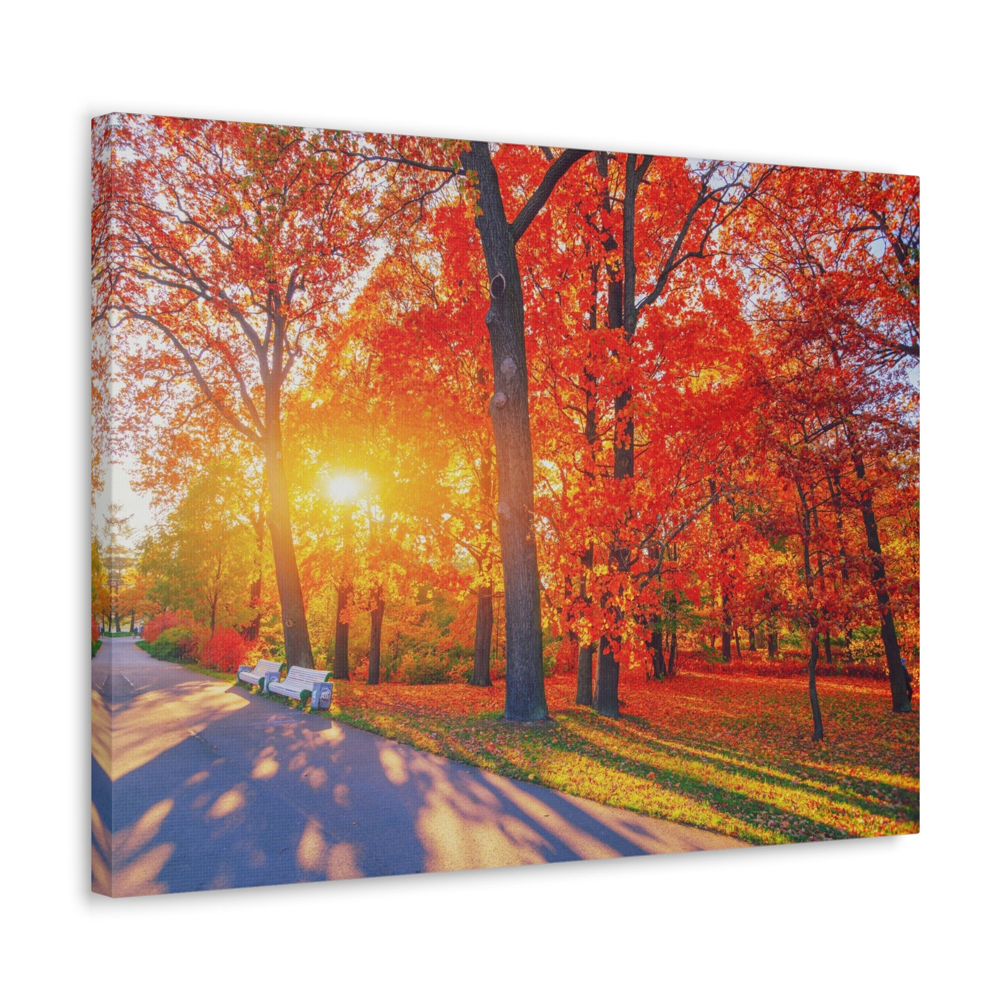 Autumn Path Orange Tree Trail Nature Wilderness Photography Canvas Wall Art for Home Decor Ready-to-Hang-Express Your Love Gifts