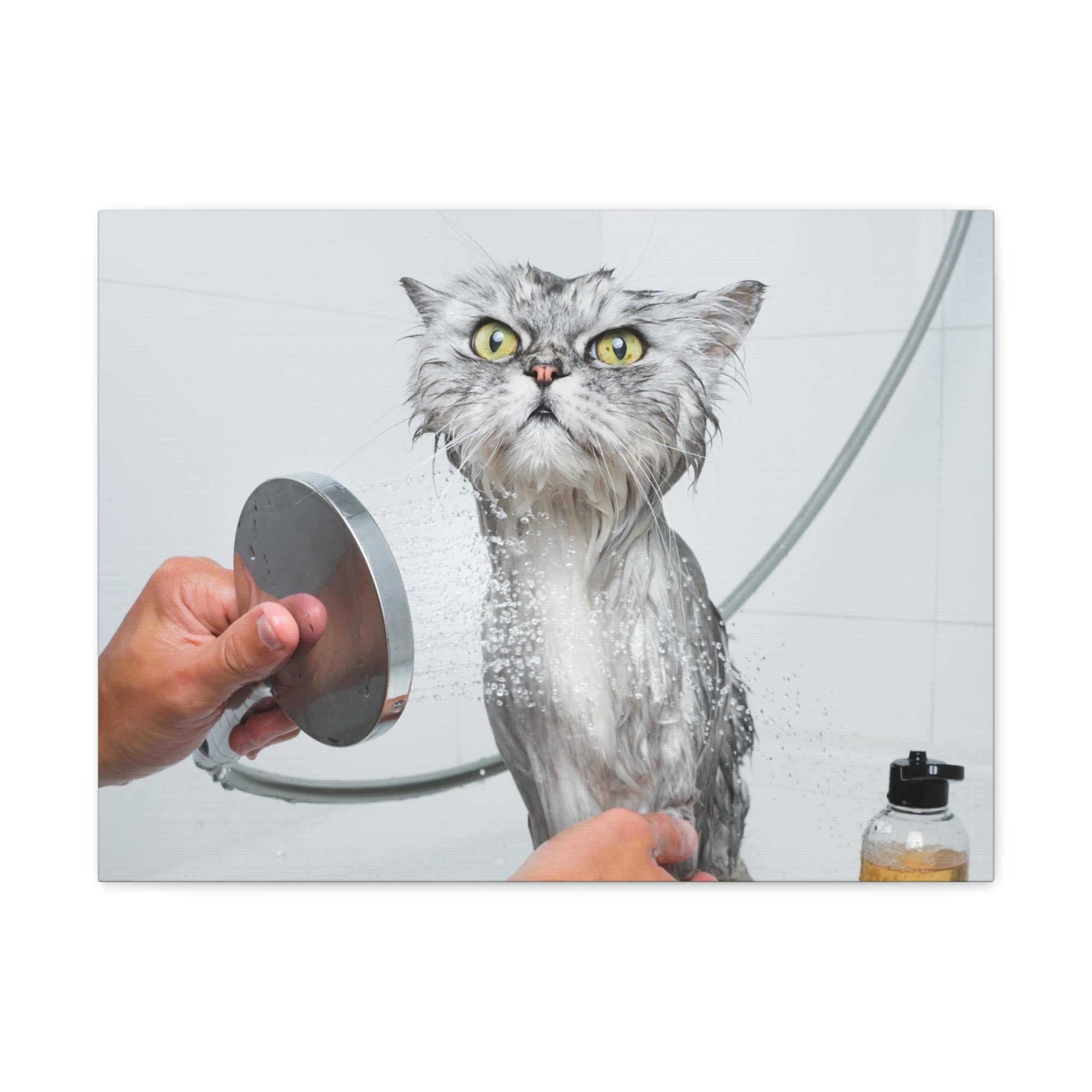 Funny Wet Cat Bath Canvas Wall Art for Home Decor Ready-to-Hang-Express Your Love Gifts