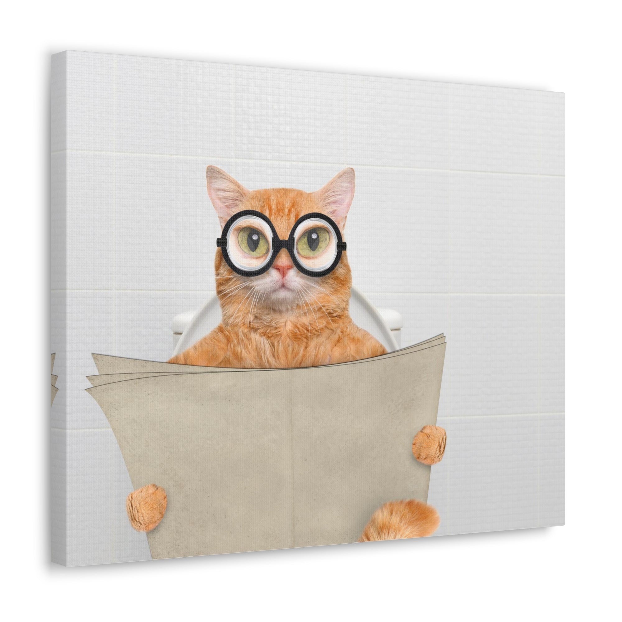 Cat Wearing Glasses Reading Newspaper On Toilet Funny Canvas Wall Art for Home Decor Ready-to-Hand-Express Your Love Gifts