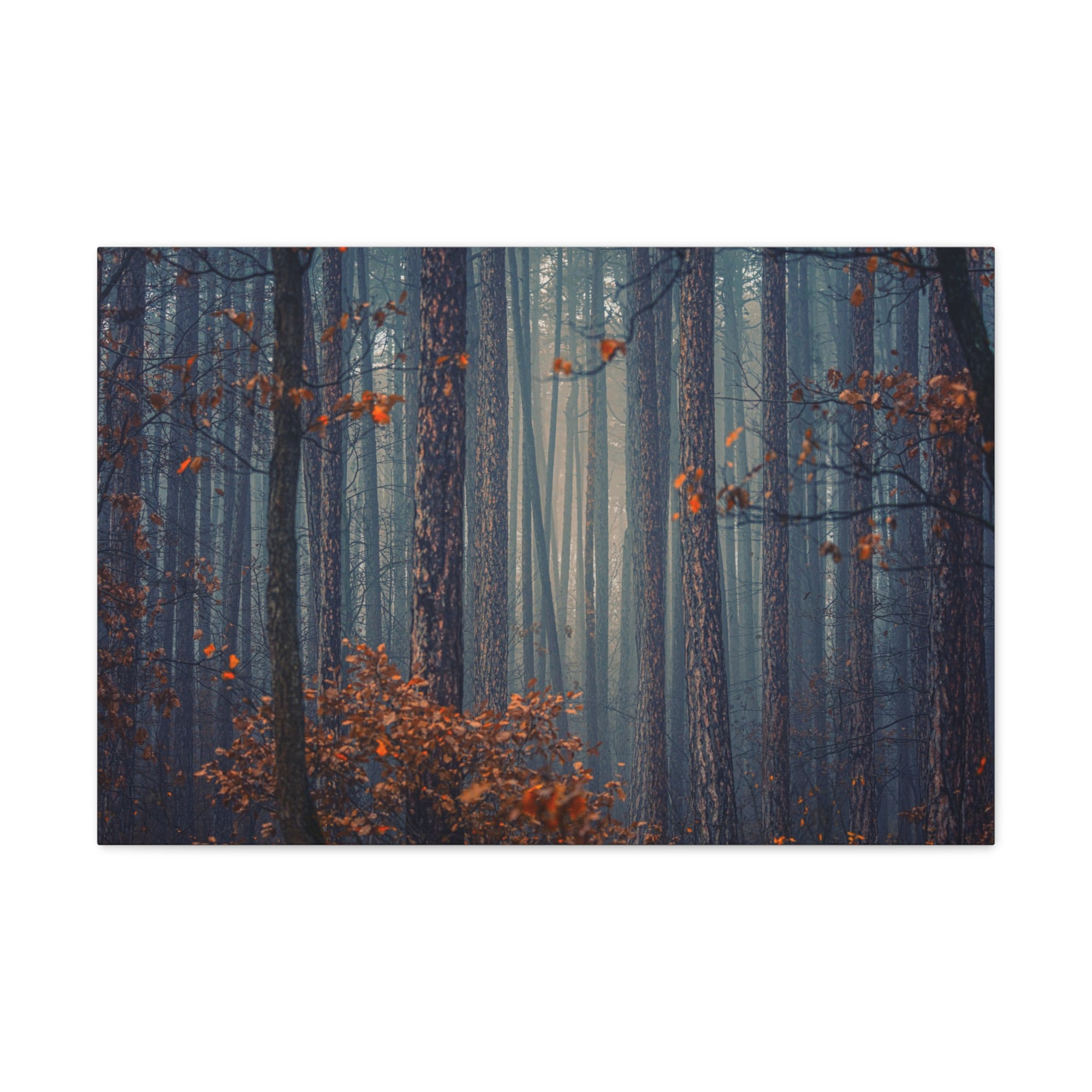 Autumn Forest Misty Orange Tree Leave Nature Wilderness Photography Canvas Wall Art for Home Decor Ready-to-Hang-Express Your Love Gifts