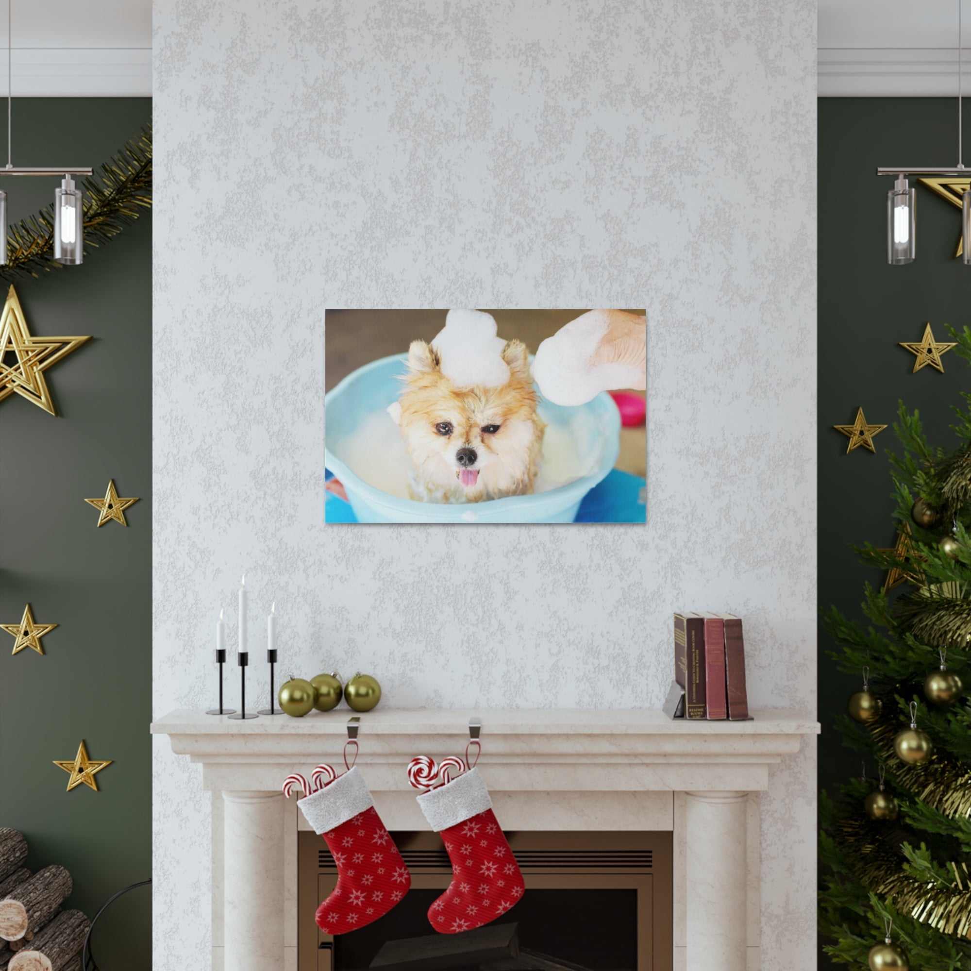 Funny Pomeranian Bathee Canvas Wall Art for Home Decor Ready-to-Hang-Express Your Love Gifts