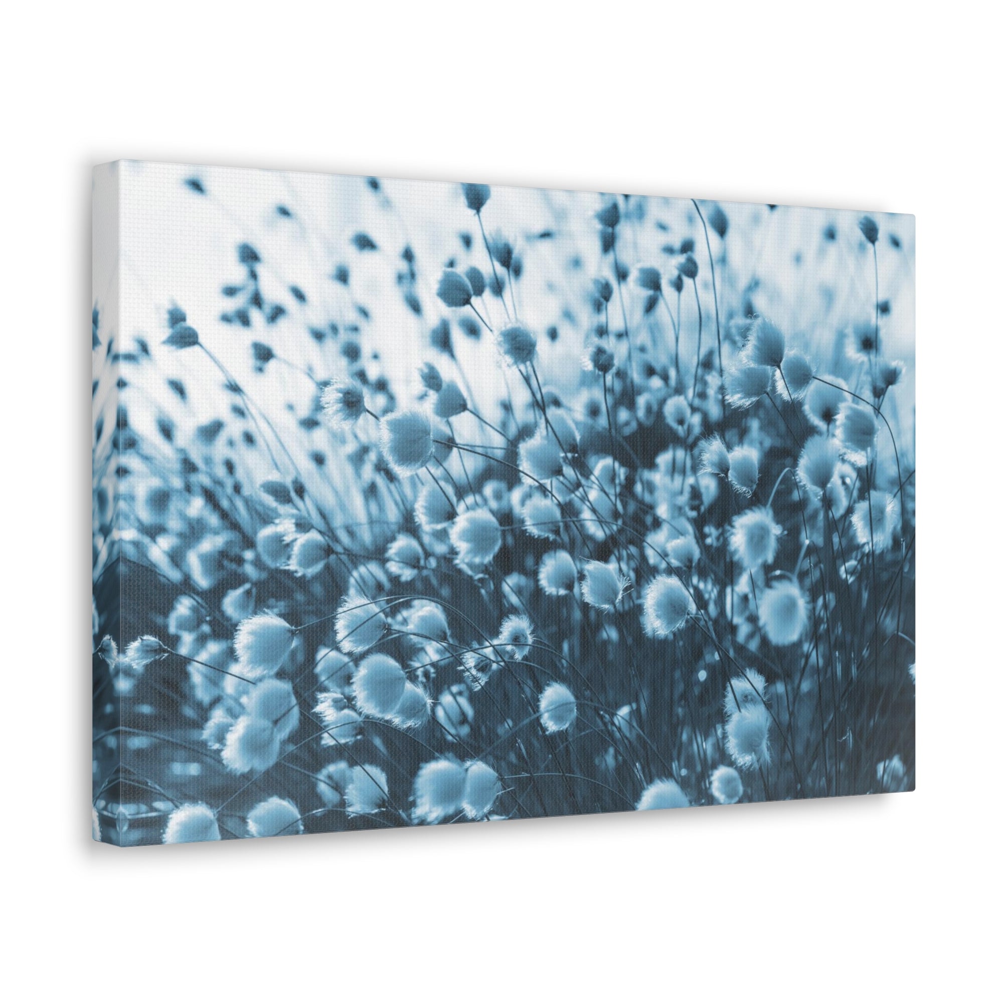 Blooming Cotton Grass In Swamp Misty Morning Canvas Wall Art for Home Decor Ready-to-Hang-Express Your Love Gifts