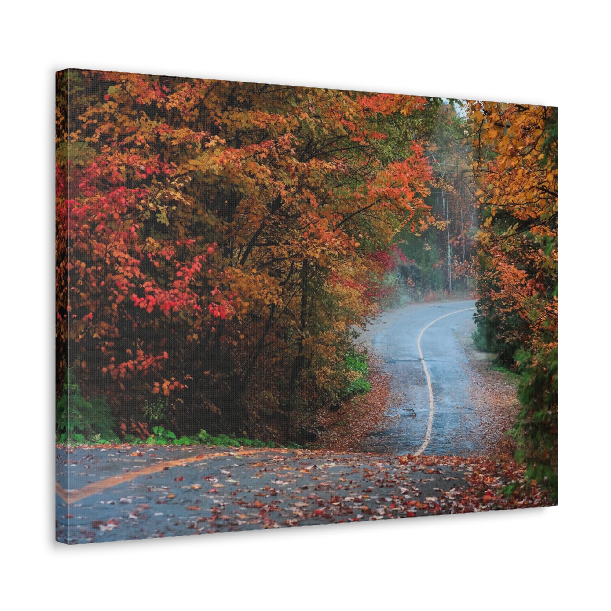 Autumn Forest Misty Path Nature Wilderness Photography Canvas Wall Art for Home Decor Ready-to-Hang-Express Your Love Gifts