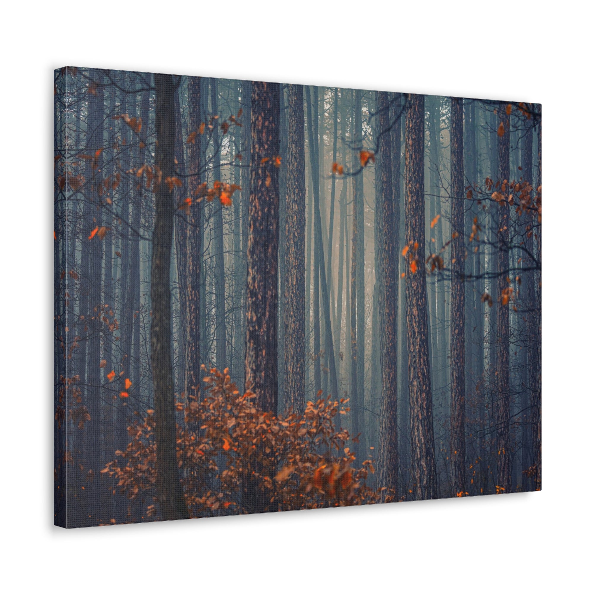 Autumn Forest Misty Orange Tree Leave Nature Wilderness Photography Canvas Wall Art for Home Decor Ready-to-Hang-Express Your Love Gifts