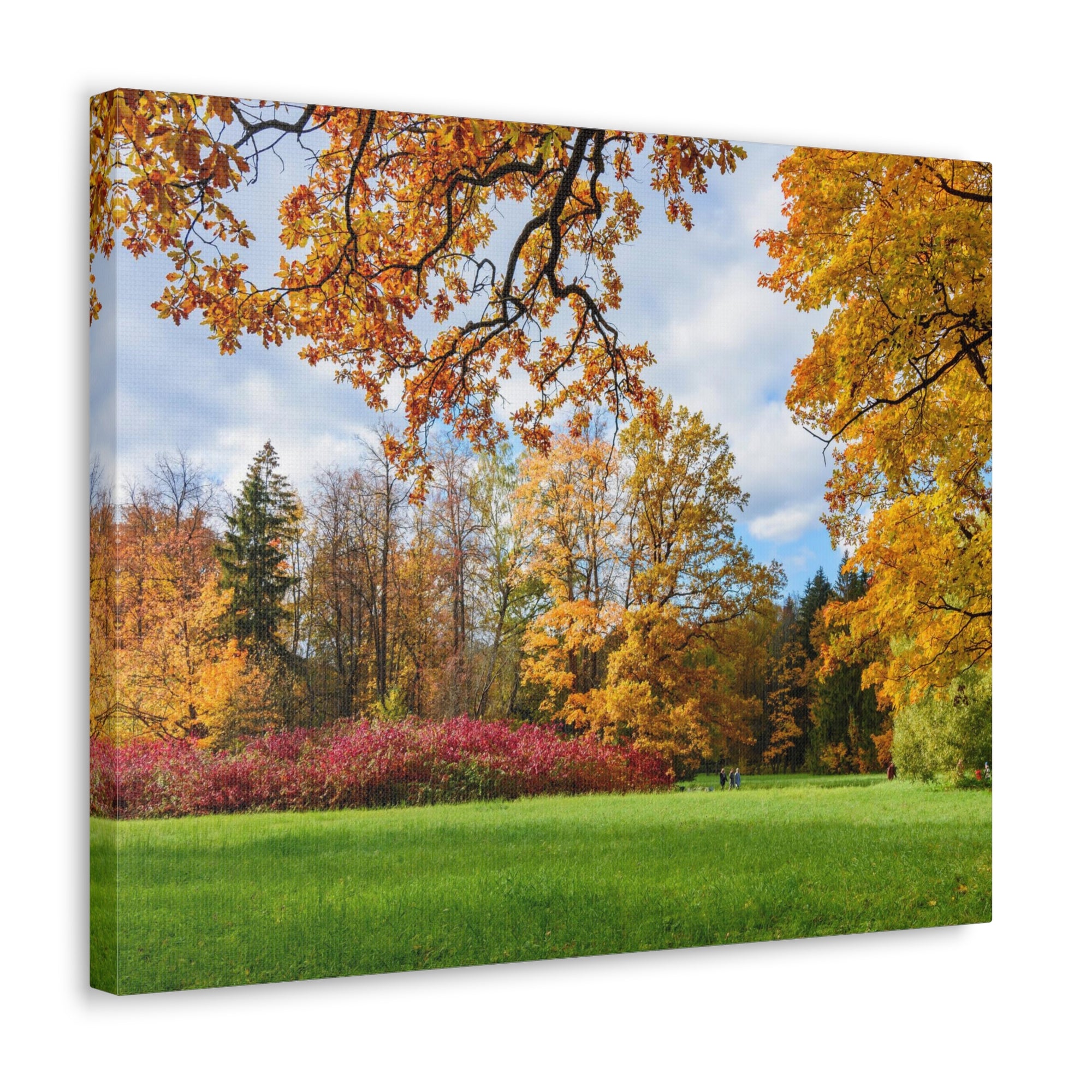 Autumn Park Tree Orange Nature Wilderness Photography Canvas Wall Art for Home Decor Ready-to-Hang-Express Your Love Gifts