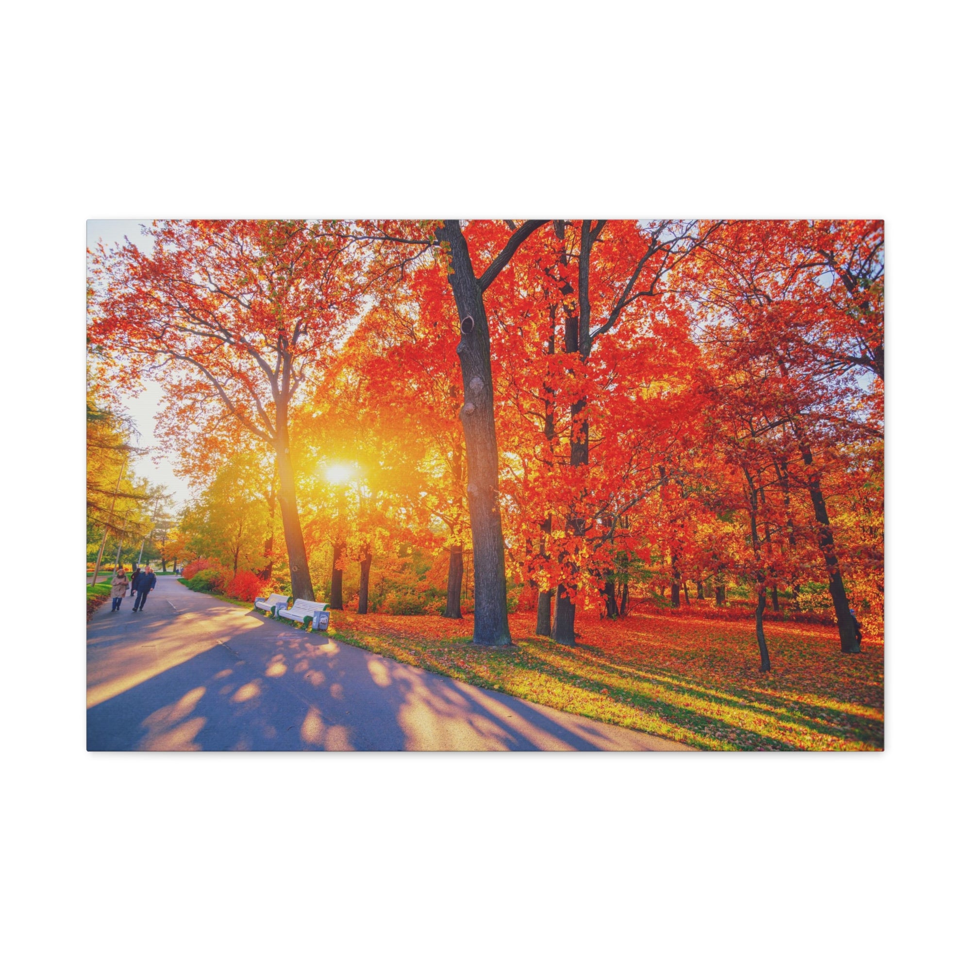 Autumn Path Orange Tree Trail Nature Wilderness Photography Canvas Wall Art for Home Decor Ready-to-Hang-Express Your Love Gifts