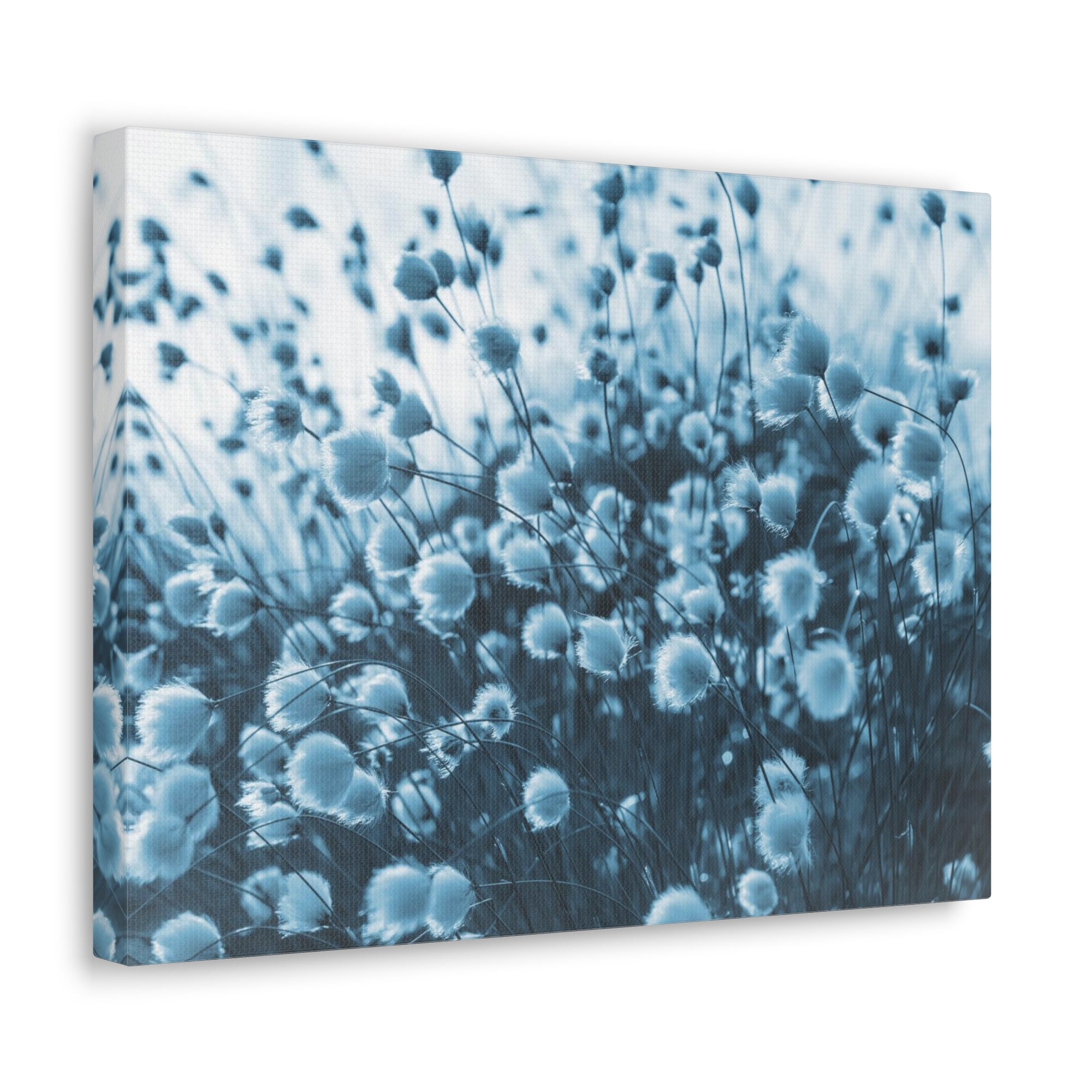 Blooming Cotton Grass In Swamp Misty Morning Canvas Wall Art for Home Decor Ready-to-Hang-Express Your Love Gifts