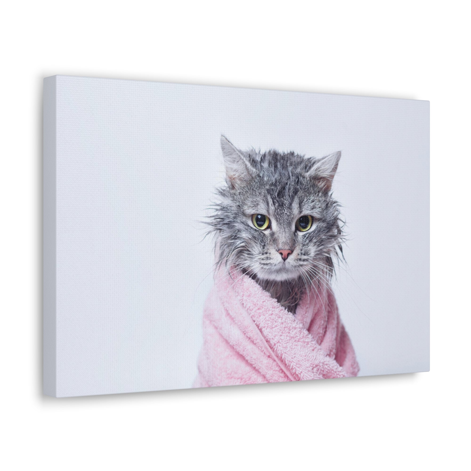 Funny Tabby Cat Bathee Canvas Wall Art for Home Decor Ready-to-Hang-Express Your Love Gifts