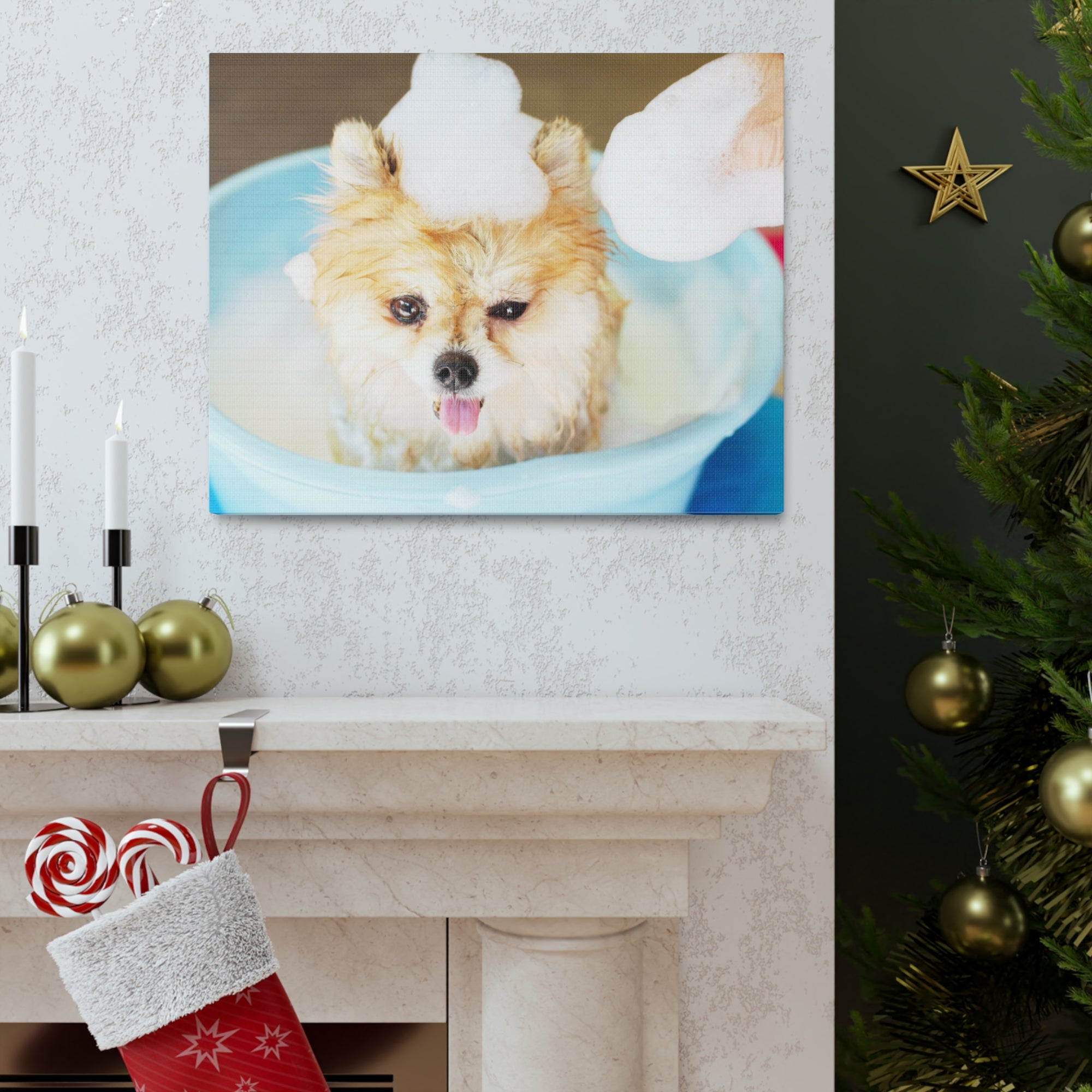 Funny Pomeranian Bathee Canvas Wall Art for Home Decor Ready-to-Hang-Express Your Love Gifts