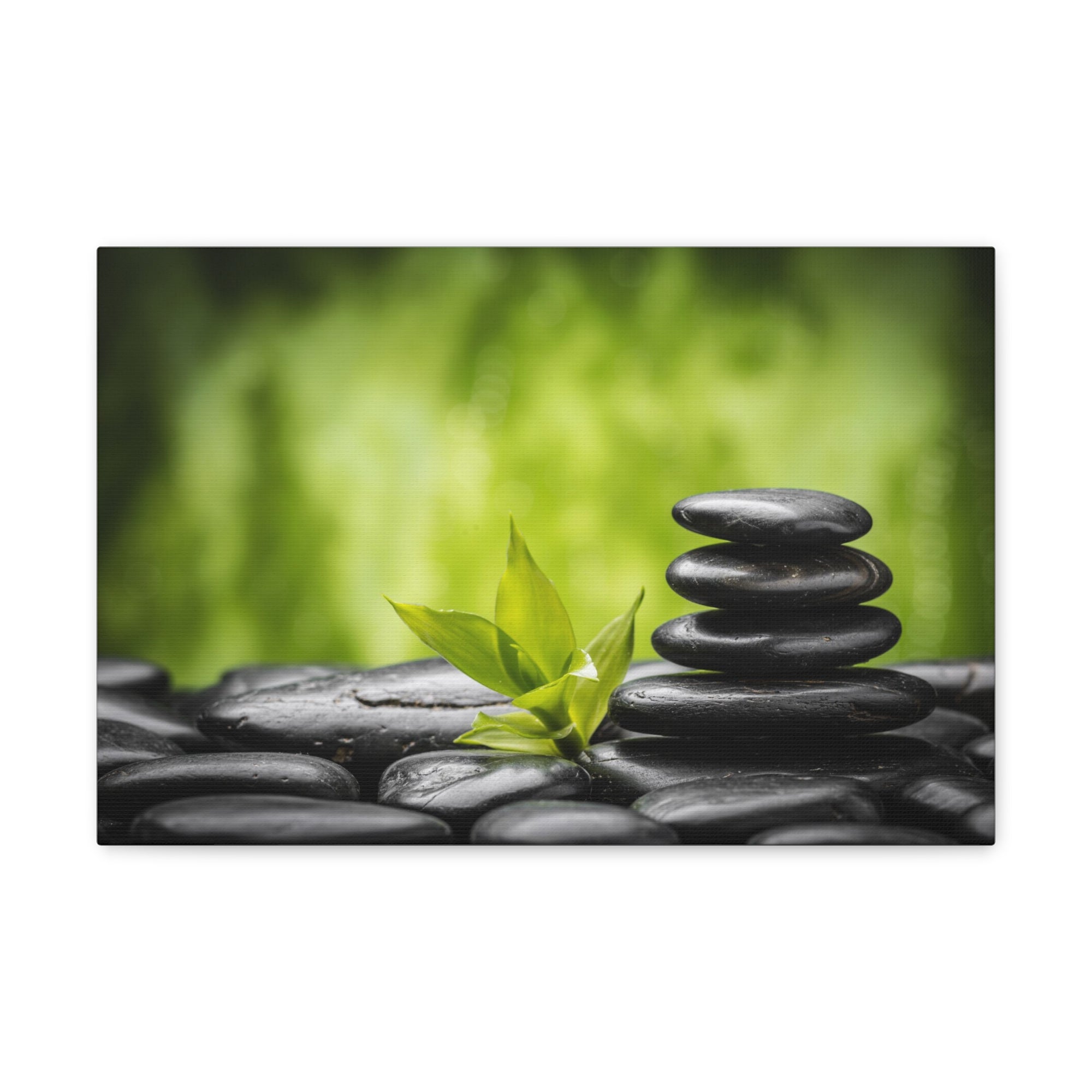 Basalt Stones and Bamboo Forest Floral Nature Photography Canvas Wall Art for Home Decor Ready-to-Hang-Express Your Love Gifts