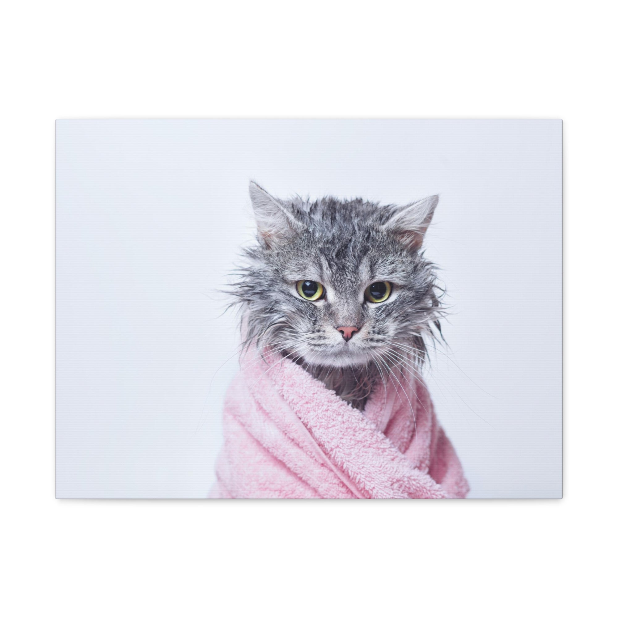 Funny Tabby Cat Bathee Canvas Wall Art for Home Decor Ready-to-Hang-Express Your Love Gifts