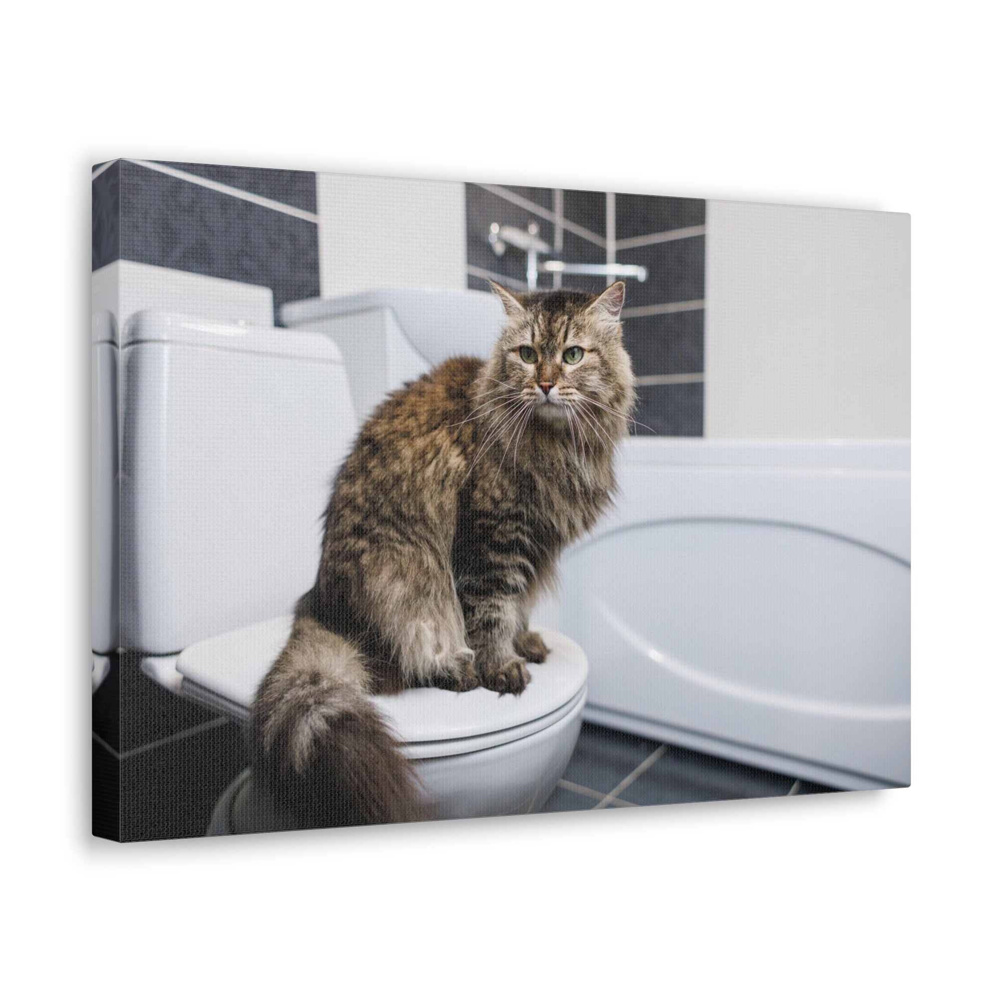 Cute Cat Sitting On Toilet Funny Canvas Wall Art for Home Decor Ready-to-Hand-Express Your Love Gifts