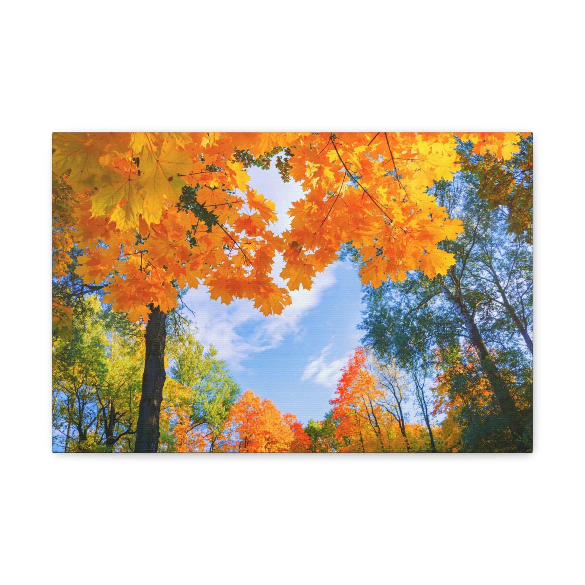 Autumn Tree With Orange Leaves Heart Nature Wilderness Photography Canvas Wall Art for Home Decor Ready-to-Hang-Express Your Love Gifts