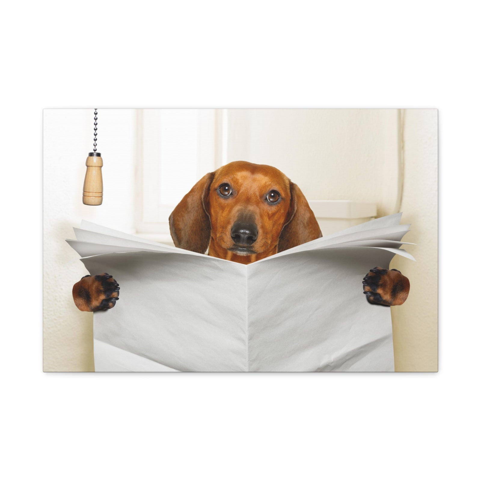 Funny Sausage Dachshund Reading Blank Paper On Toilet Funny Canvas Wall Art for Home Decor Ready-to-Hand-Express Your Love Gifts