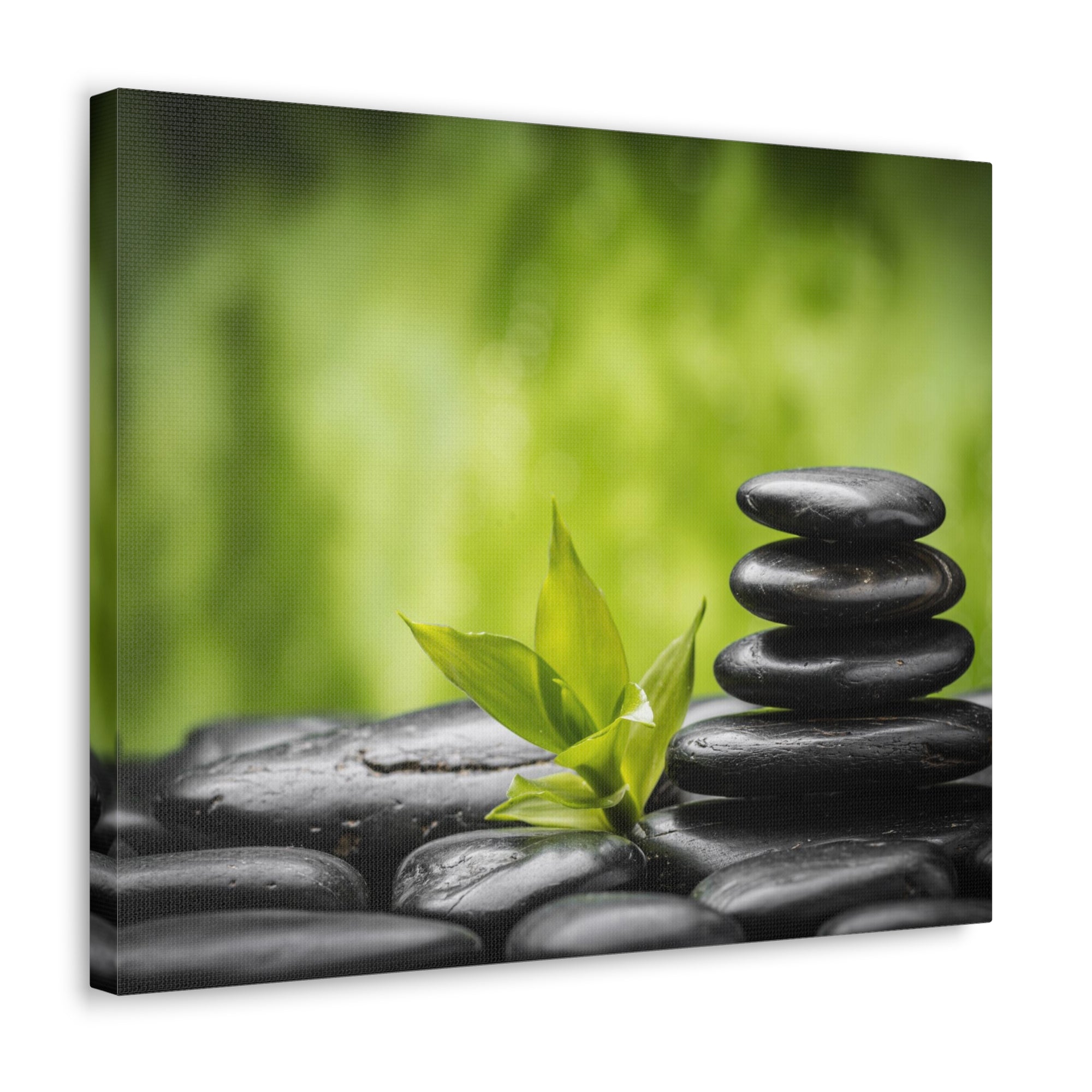 Basalt Stones and Bamboo Forest Floral Nature Photography Canvas Wall Art for Home Decor Ready-to-Hang-Express Your Love Gifts