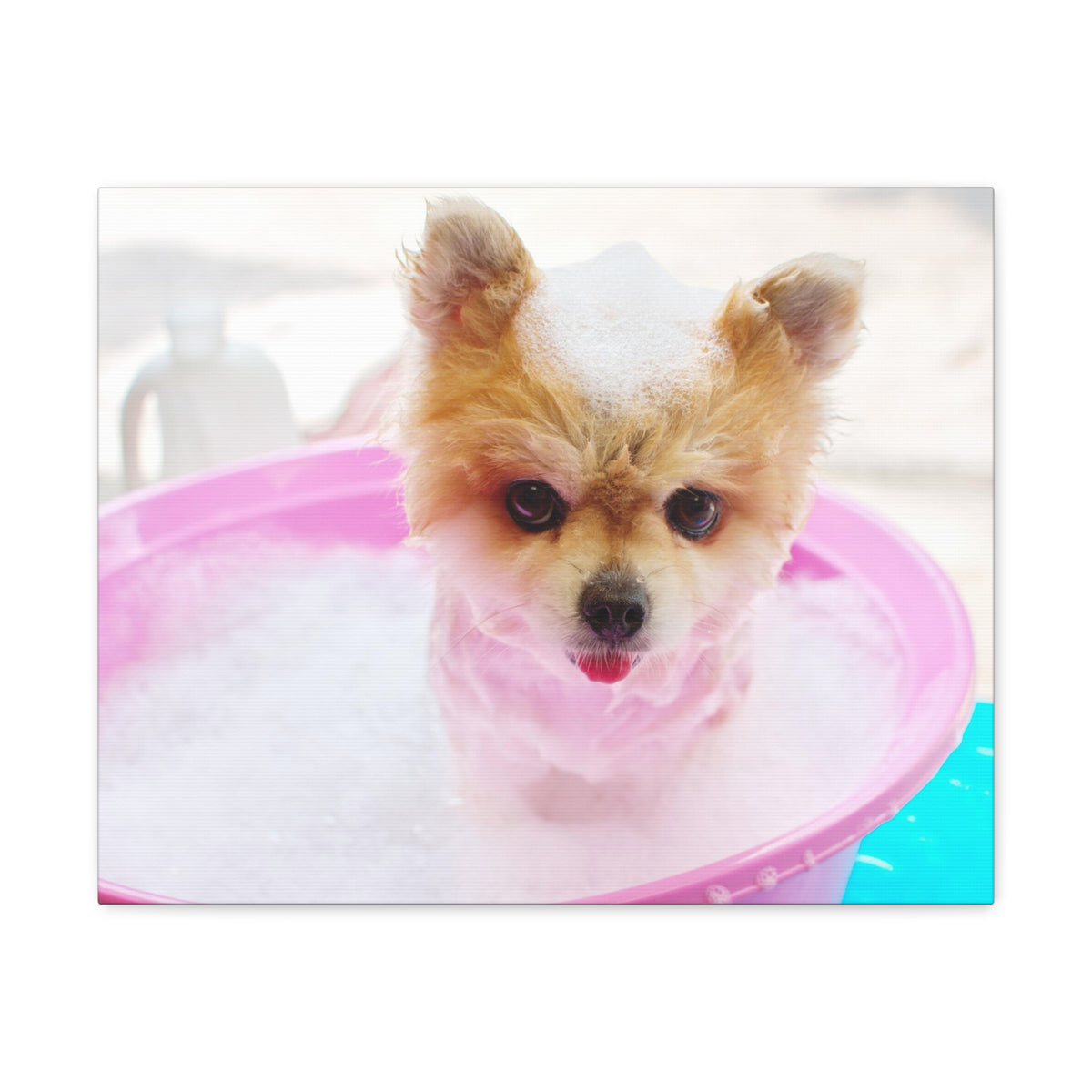 Funny Pomeranian Bath Canvas Wall Art for Home Decor Ready-to-Hang-Express Your Love Gifts