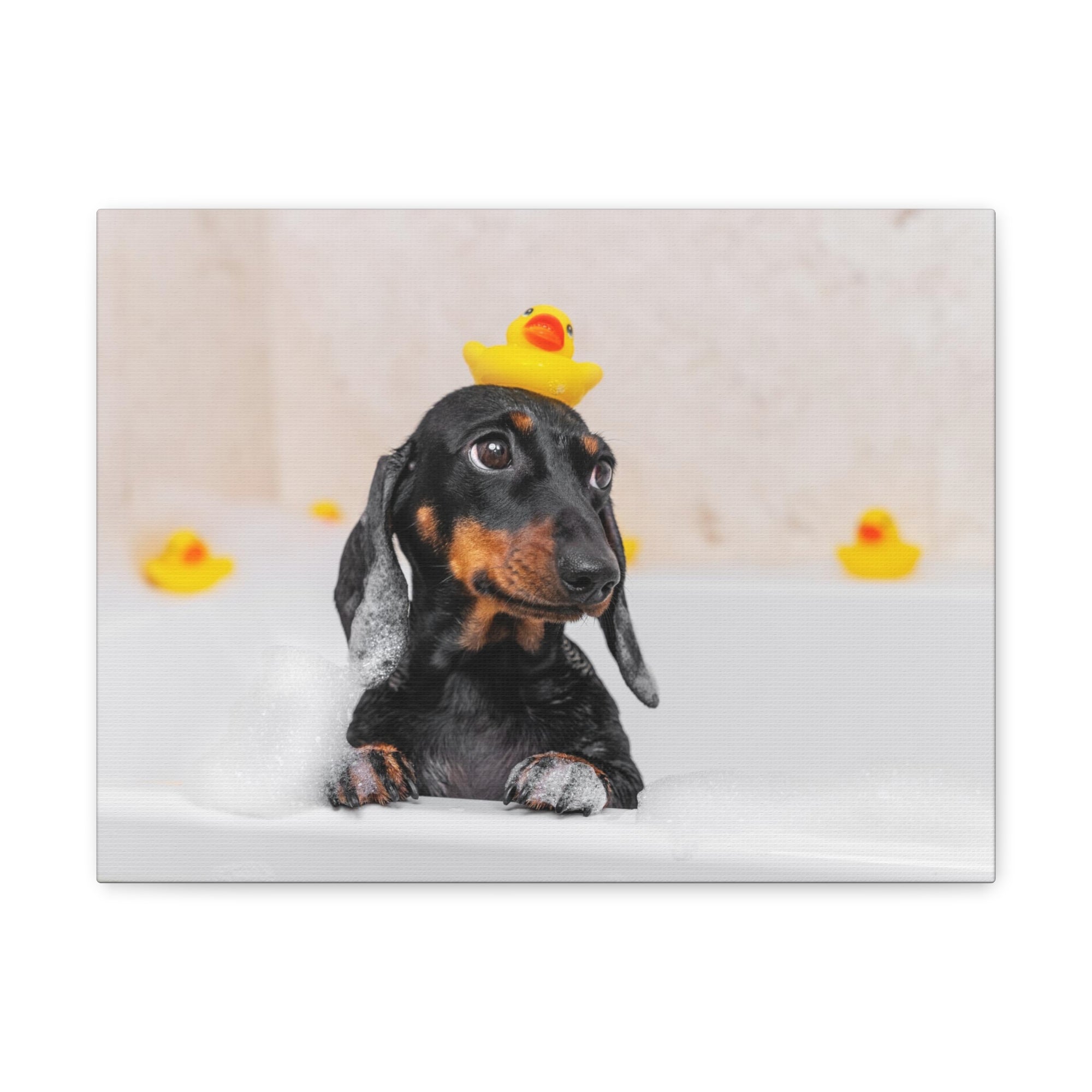 Dachshund In Bathtub With Yellow Duck On Toilet Funny Canvas Wall Art for Home Decor Ready-to-Hand-Express Your Love Gifts