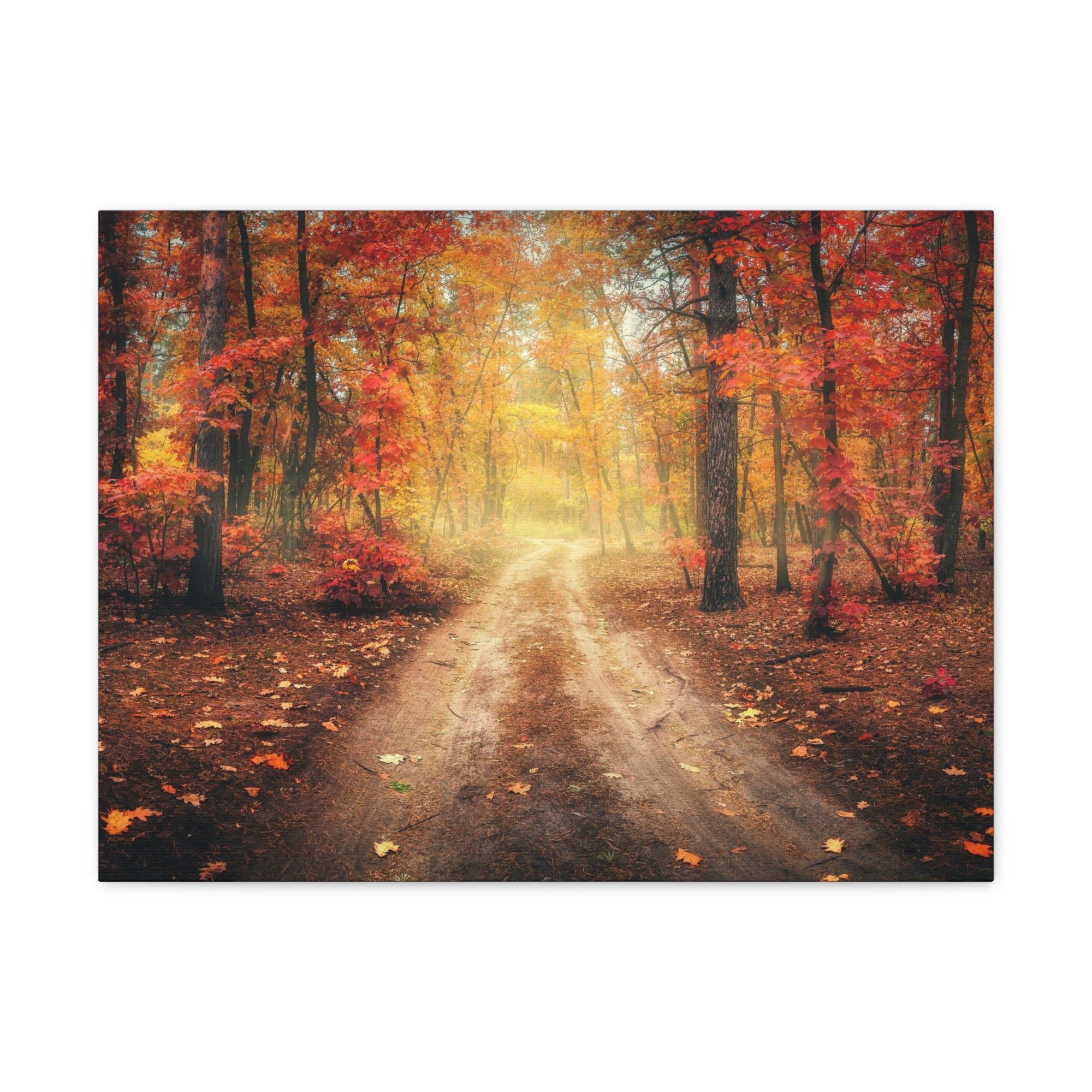 Autumn Forest Misty Orange Tree Path Nature Wilderness Photography Canvas Wall Art for Home Decor Ready-to-Hang-Express Your Love Gifts