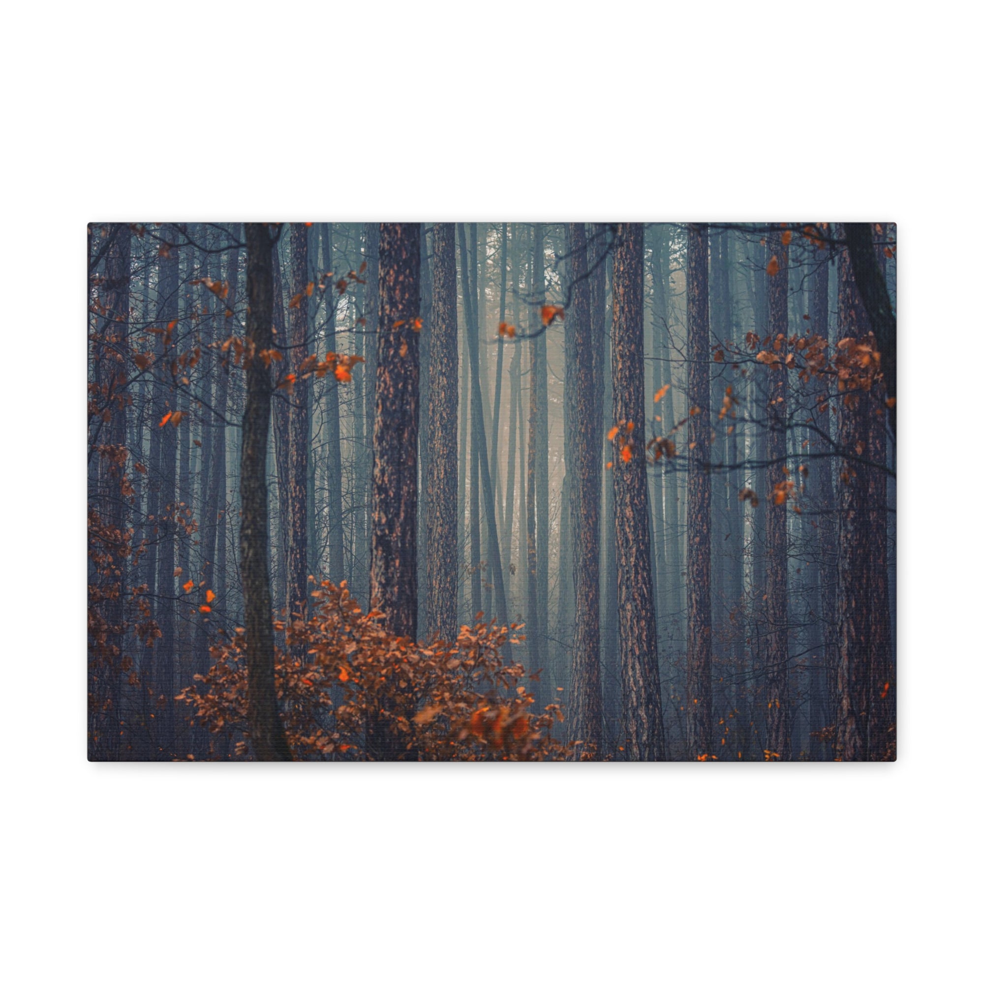 Autumn Forest Misty Orange Tree Leave Nature Wilderness Photography Canvas Wall Art for Home Decor Ready-to-Hang-Express Your Love Gifts