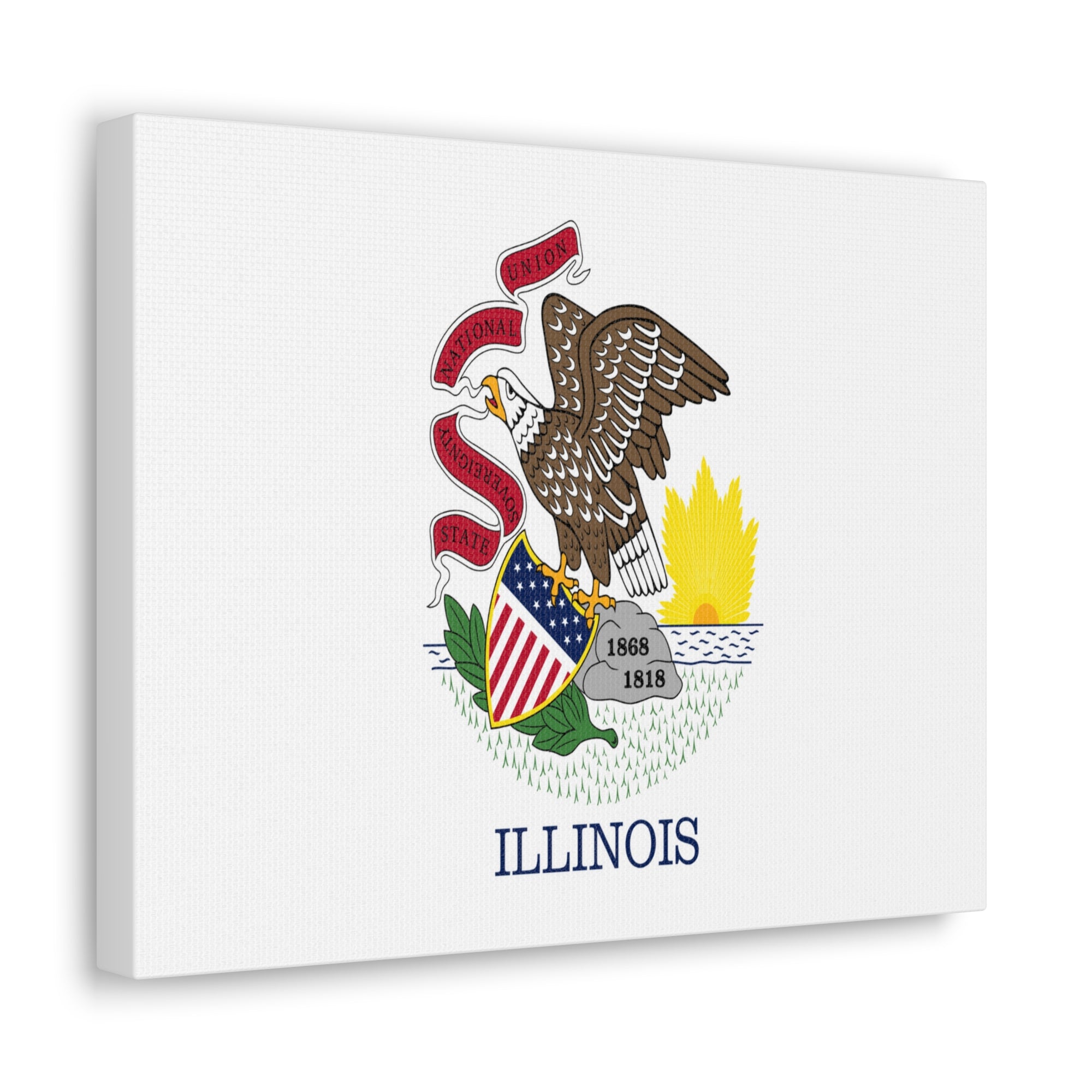 Illinois Stage Flag Canvas Vibrant Wall Art Unframed Home Decor-Express Your Love Gifts