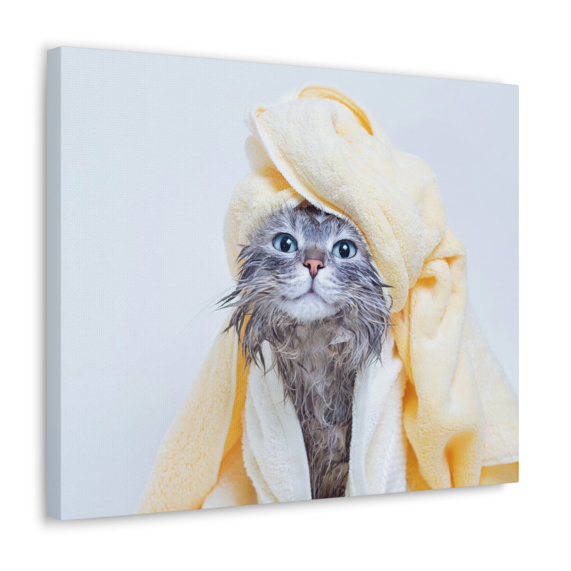 Funny Tabby Cat Bathee Canvas Wall Art for Home Decor Ready-to-Hang-Express Your Love Gifts