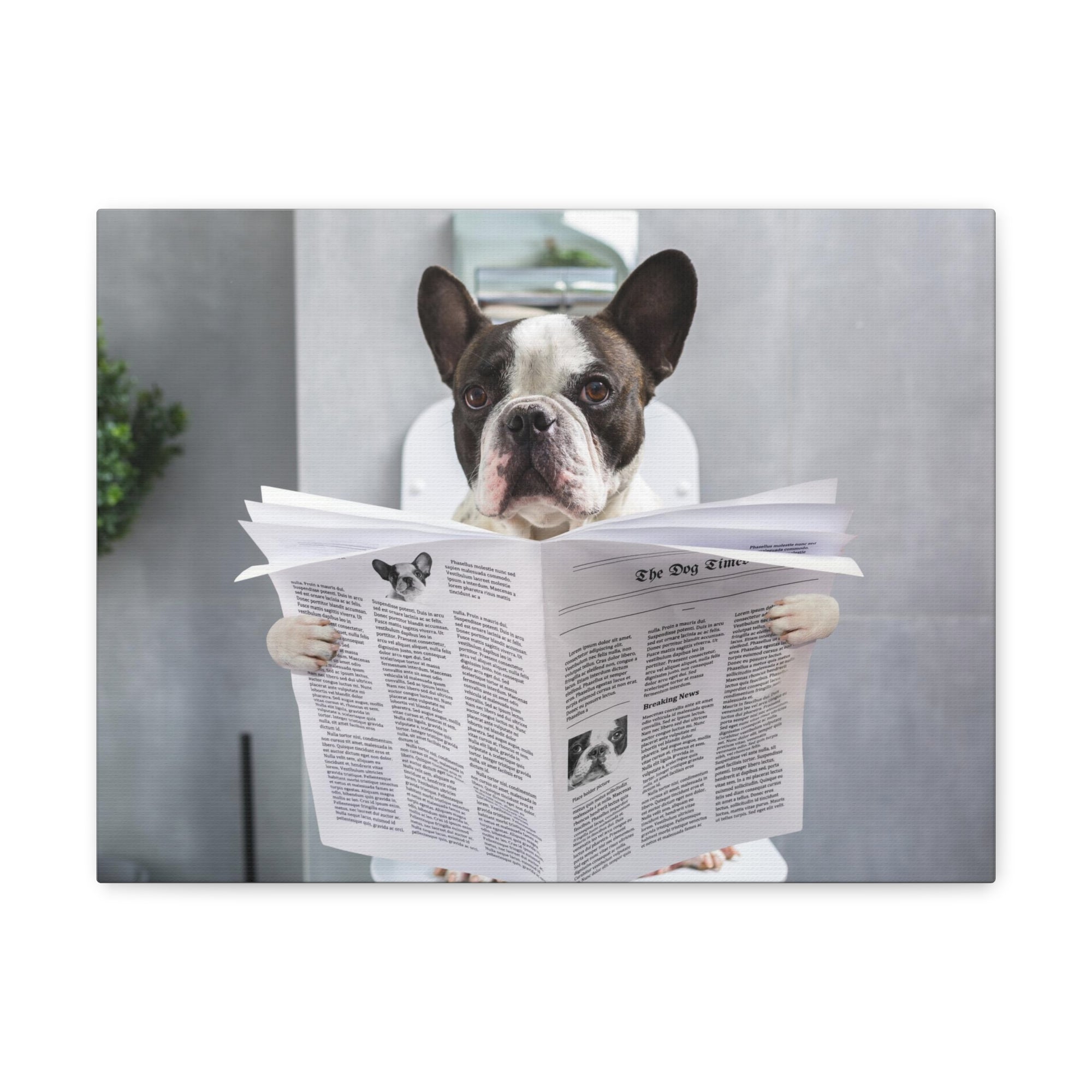 French bulldog Reading Newspaper On Toilet Funny Canvas Wall Art for Home Decor Ready-to-Hand-Express Your Love Gifts