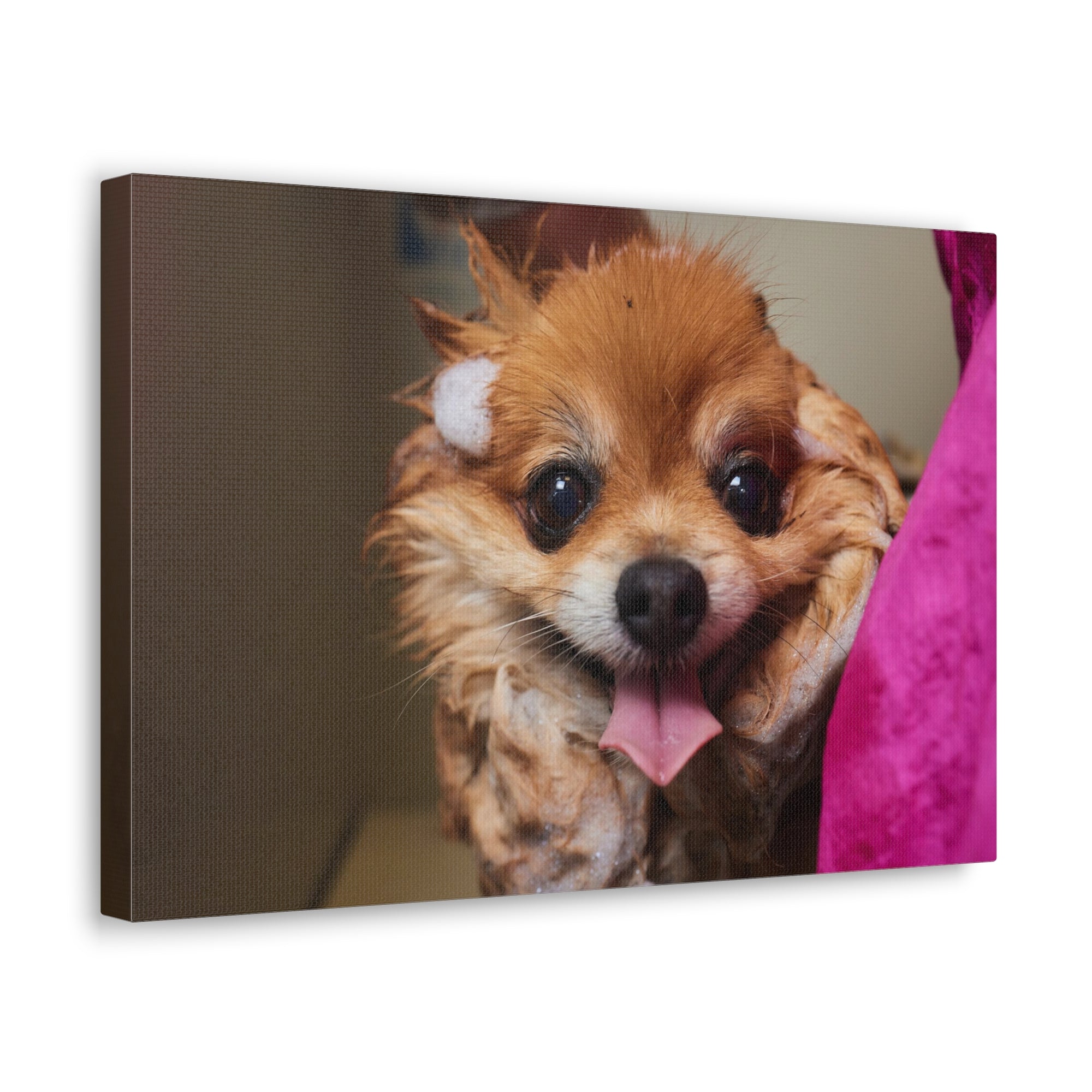 Funny Corgi Bathee Canvas Wall Art for Home Decor Ready-to-Hang-Express Your Love Gifts