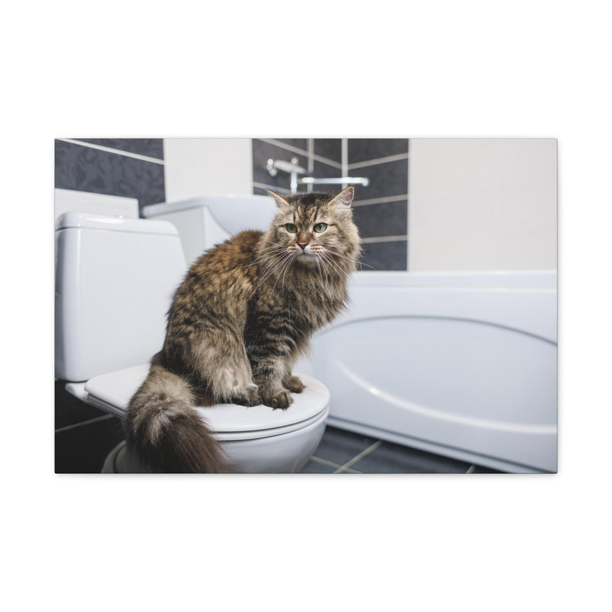 Cute Cat Sitting On Toilet Funny Canvas Wall Art for Home Decor Ready-to-Hand-Express Your Love Gifts