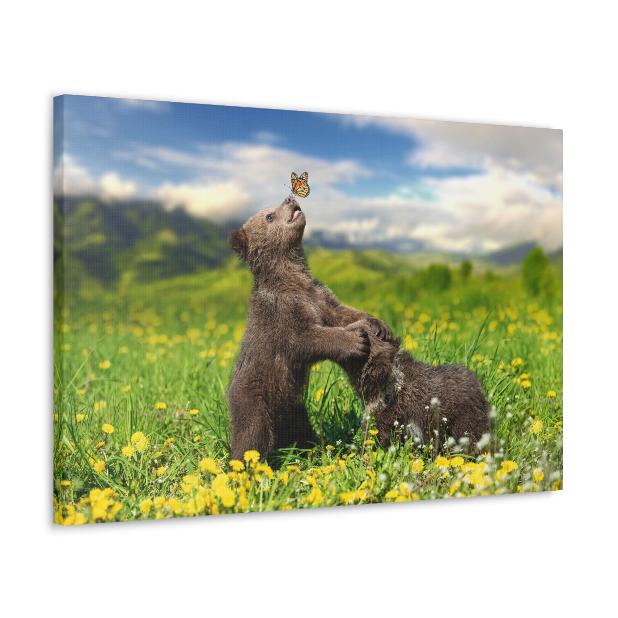 Black Bears in The Spring Nature Wilderness Photography Canvas Wall Art for Home Decor Ready-to-Hang-Express Your Love Gifts