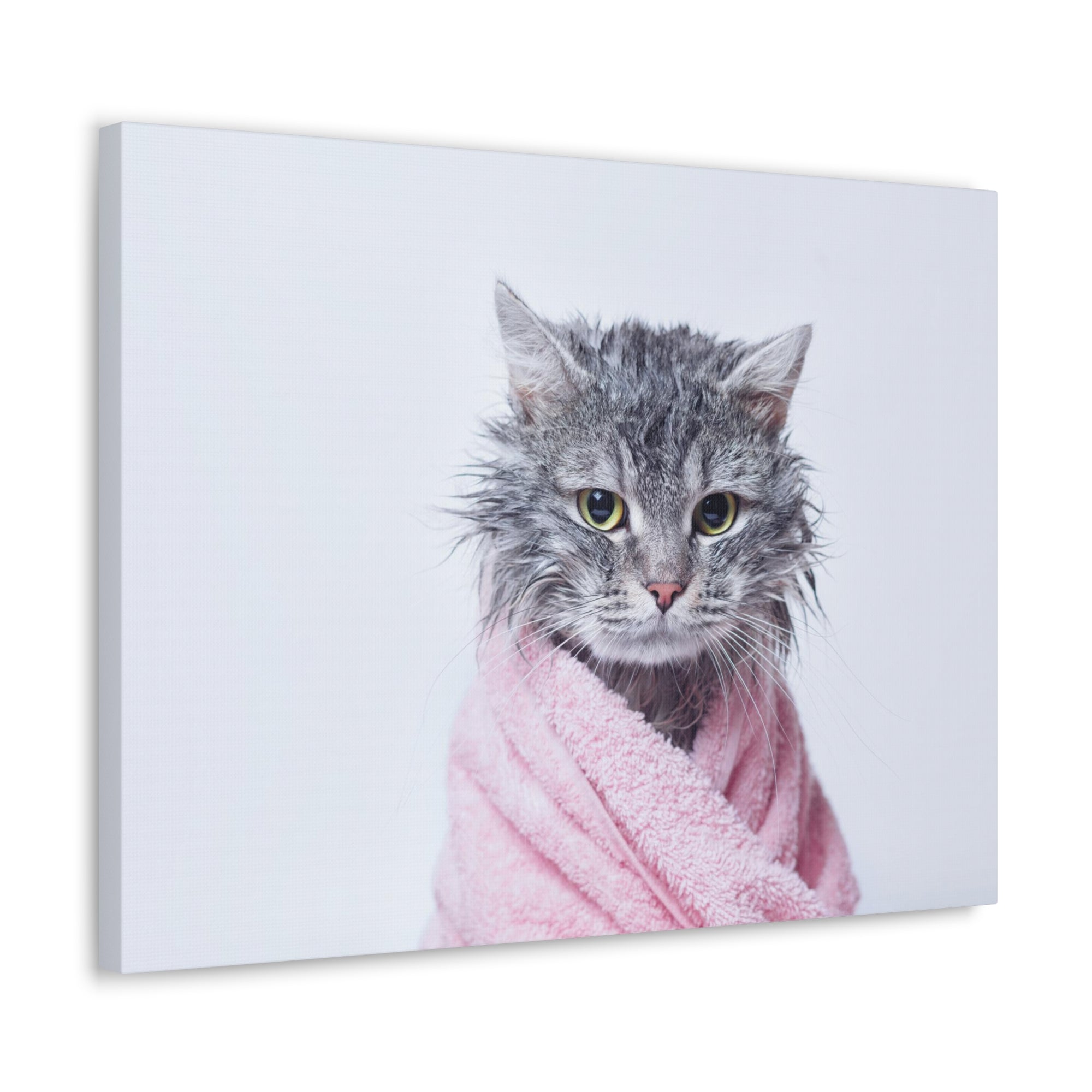 Funny Tabby Cat Bathee Canvas Wall Art for Home Decor Ready-to-Hang-Express Your Love Gifts