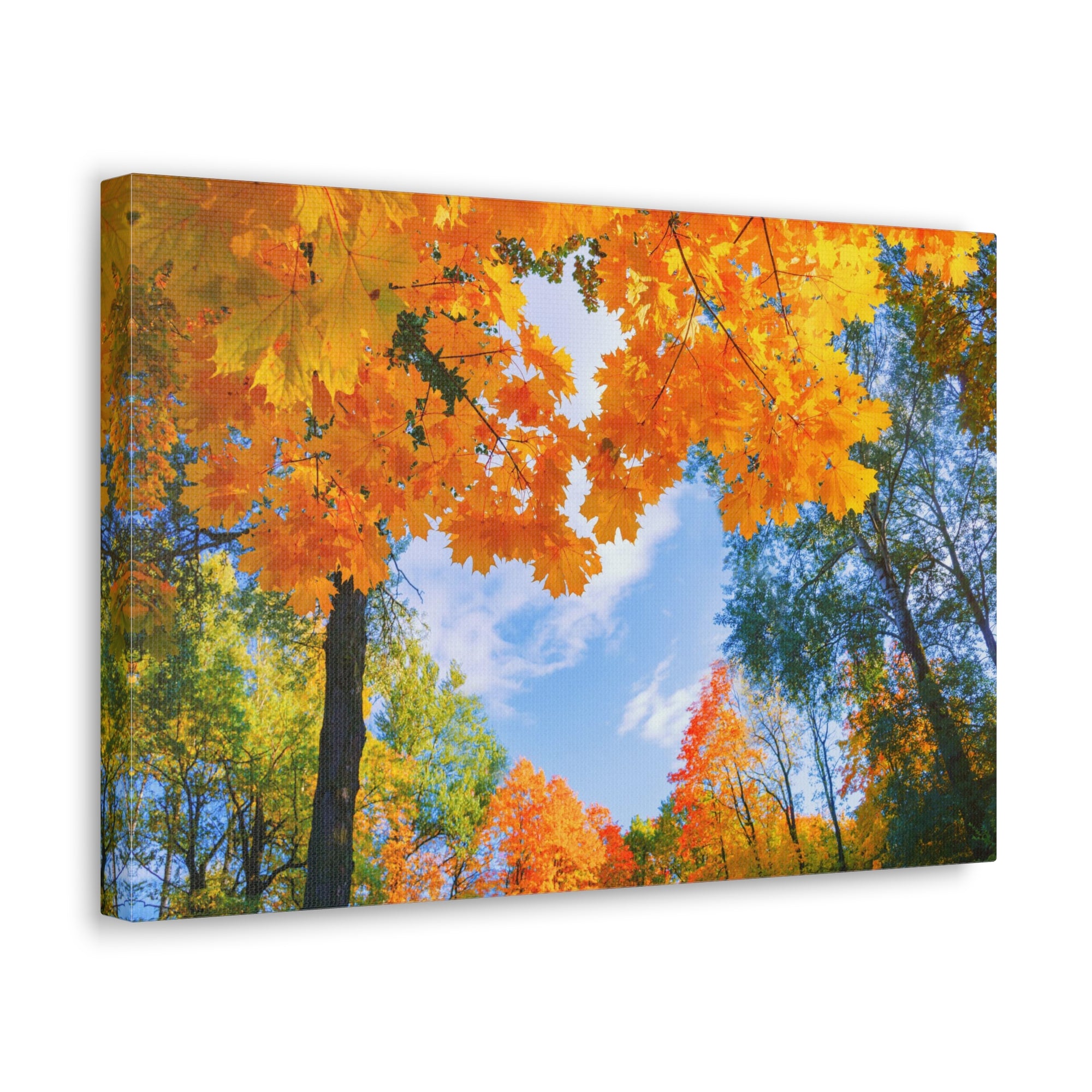 Autumn Tree With Orange Leaves Heart Nature Wilderness Photography Canvas Wall Art for Home Decor Ready-to-Hang-Express Your Love Gifts