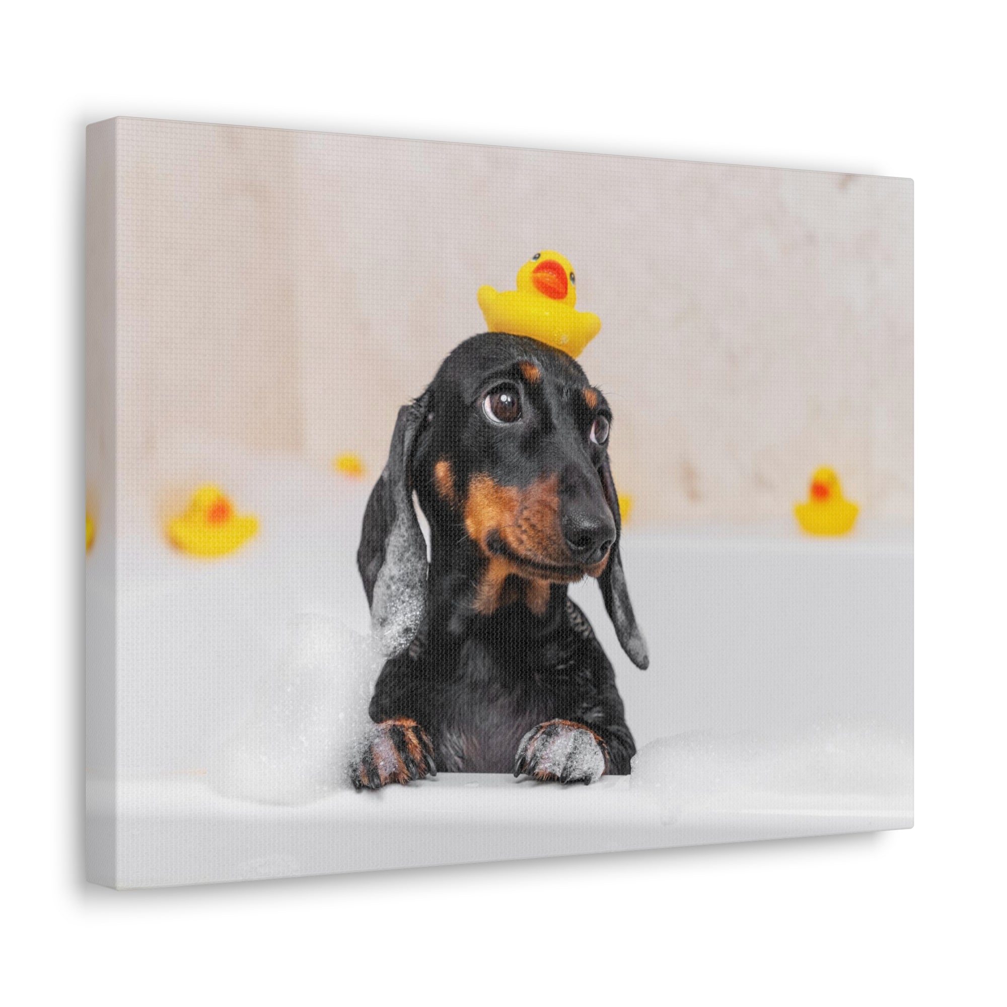 Dachshund In Bathtub With Yellow Duck On Toilet Funny Canvas Wall Art for Home Decor Ready-to-Hand-Express Your Love Gifts