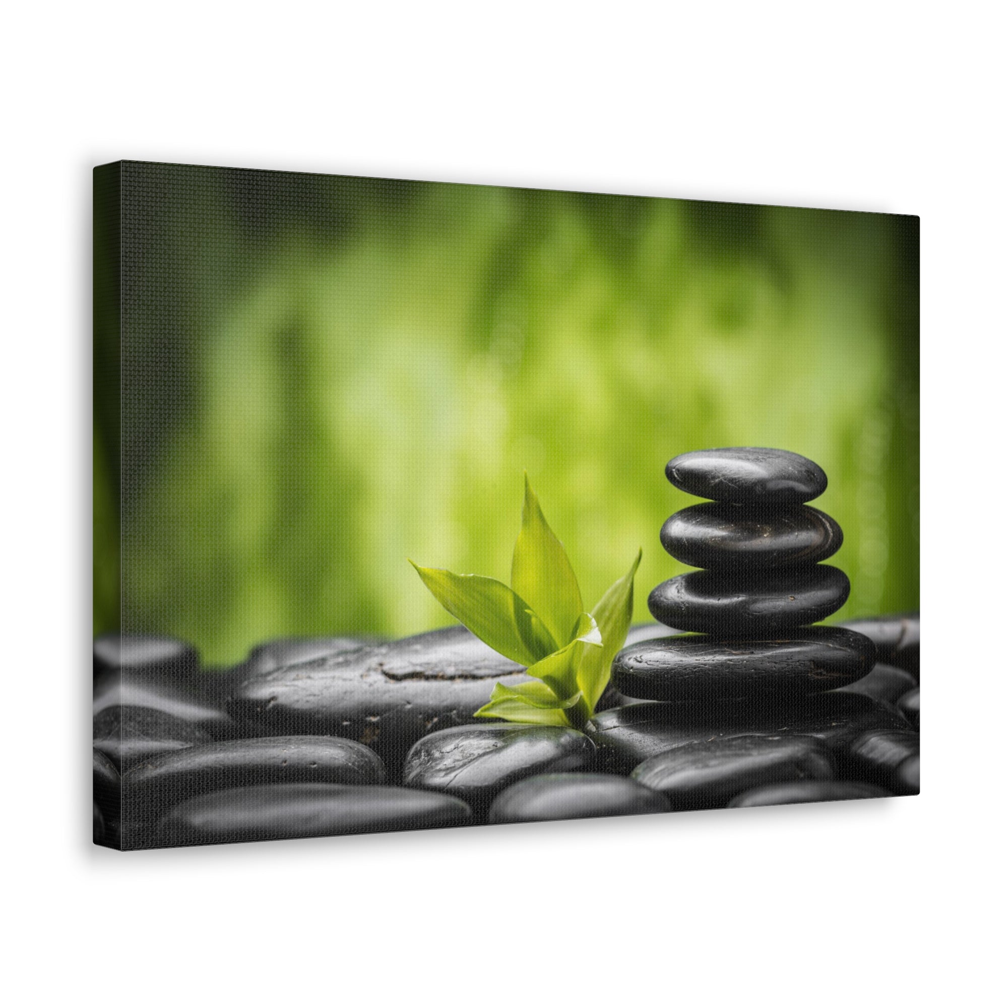 Basalt Stones and Bamboo Forest Floral Nature Photography Canvas Wall Art for Home Decor Ready-to-Hang-Express Your Love Gifts