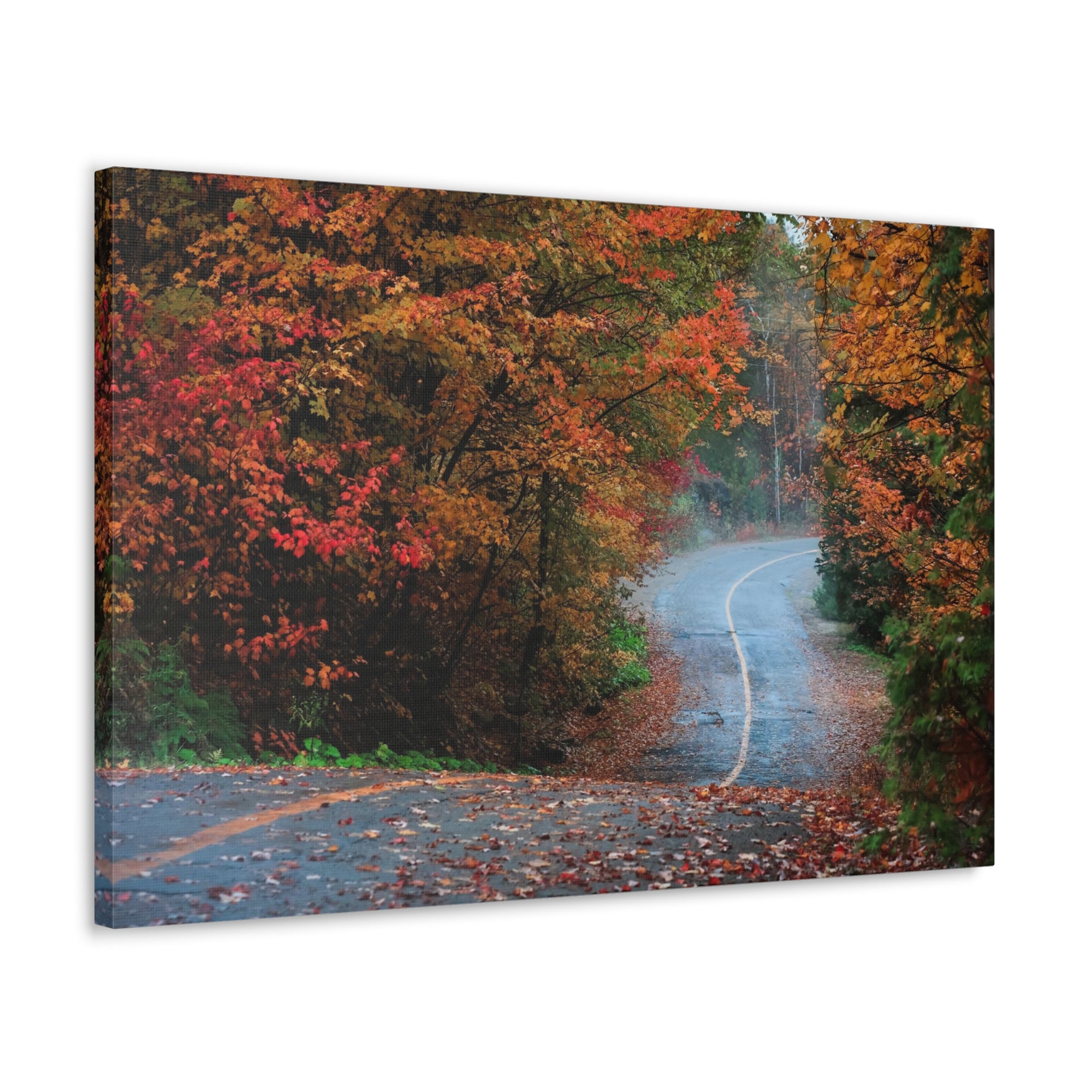 Autumn Forest Misty Path Nature Wilderness Photography Canvas Wall Art for Home Decor Ready-to-Hang-Express Your Love Gifts