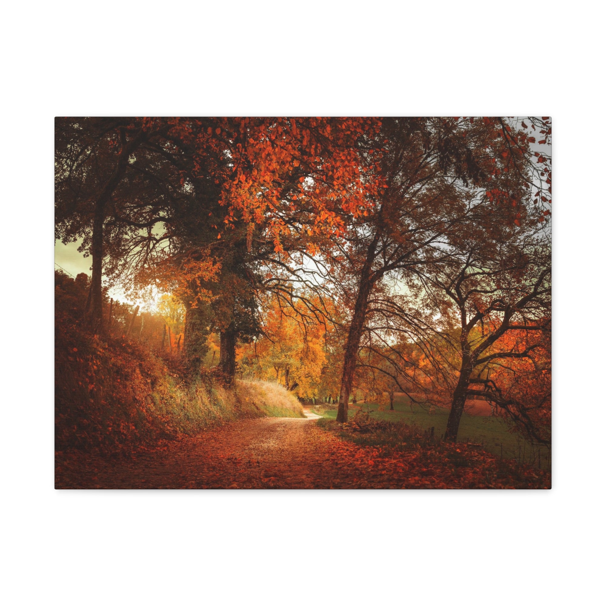 Autumn Park Orange Tree Nature Wilderness Photography Canvas Wall Art for Home Decor Ready-to-Hang-Express Your Love Gifts