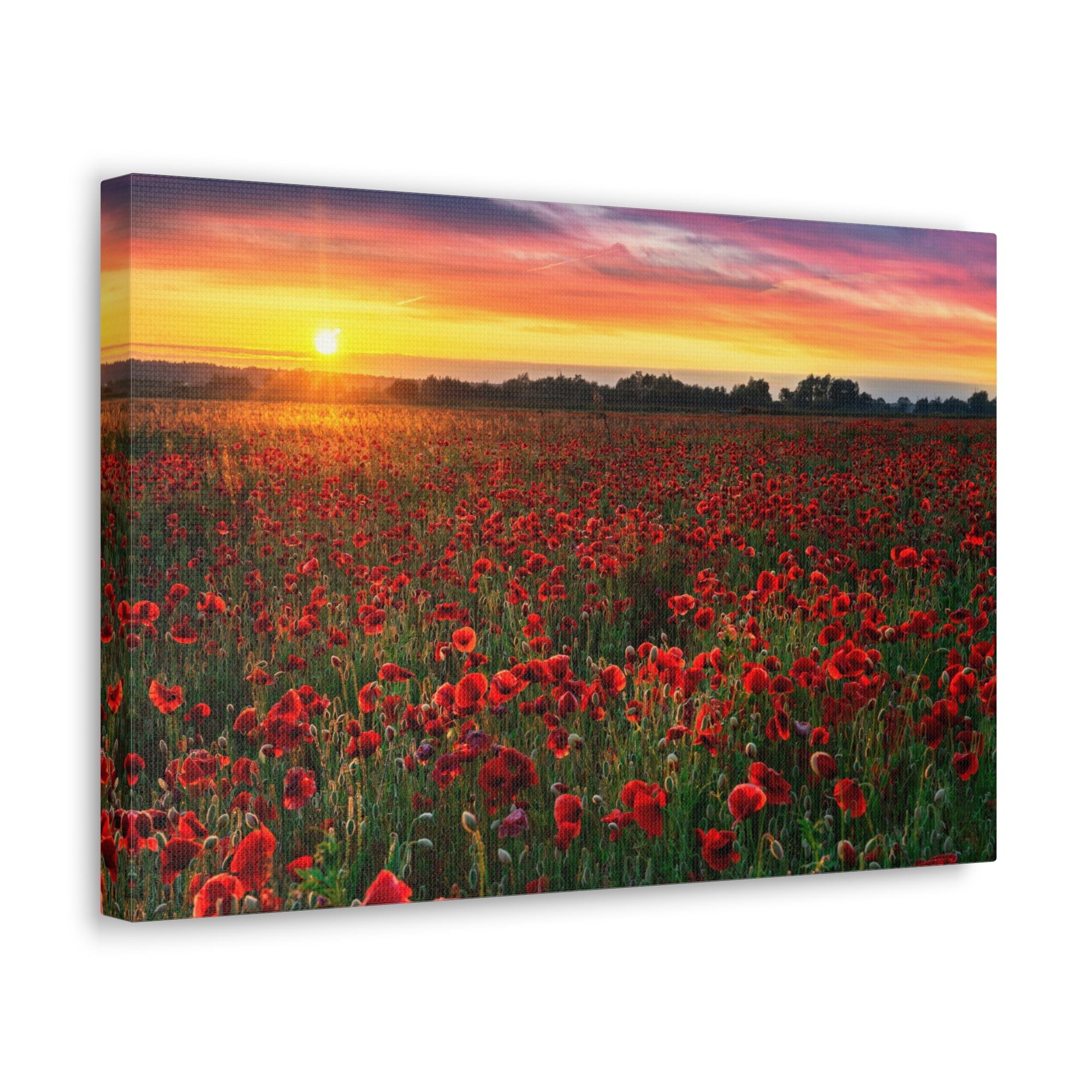 Beautiful Poppy Field During Sunrise Flower Canvas Wall Art for Home Decor Ready-to-Hang-Express Your Love Gifts