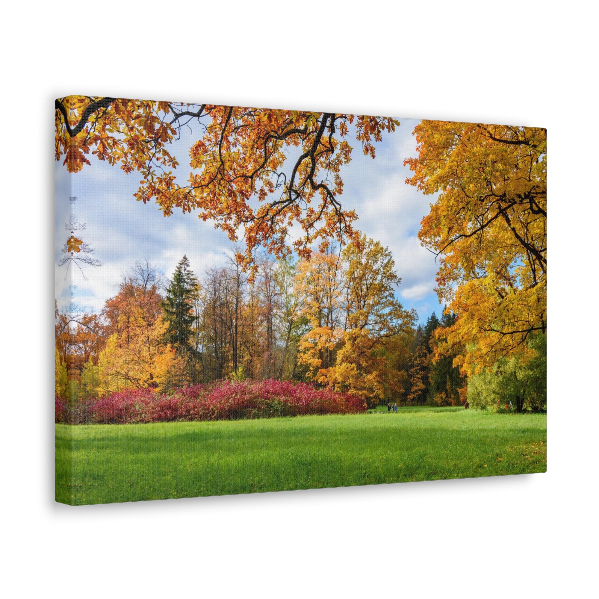 Autumn Park Tree Orange Nature Wilderness Photography Canvas Wall Art for Home Decor Ready-to-Hang-Express Your Love Gifts