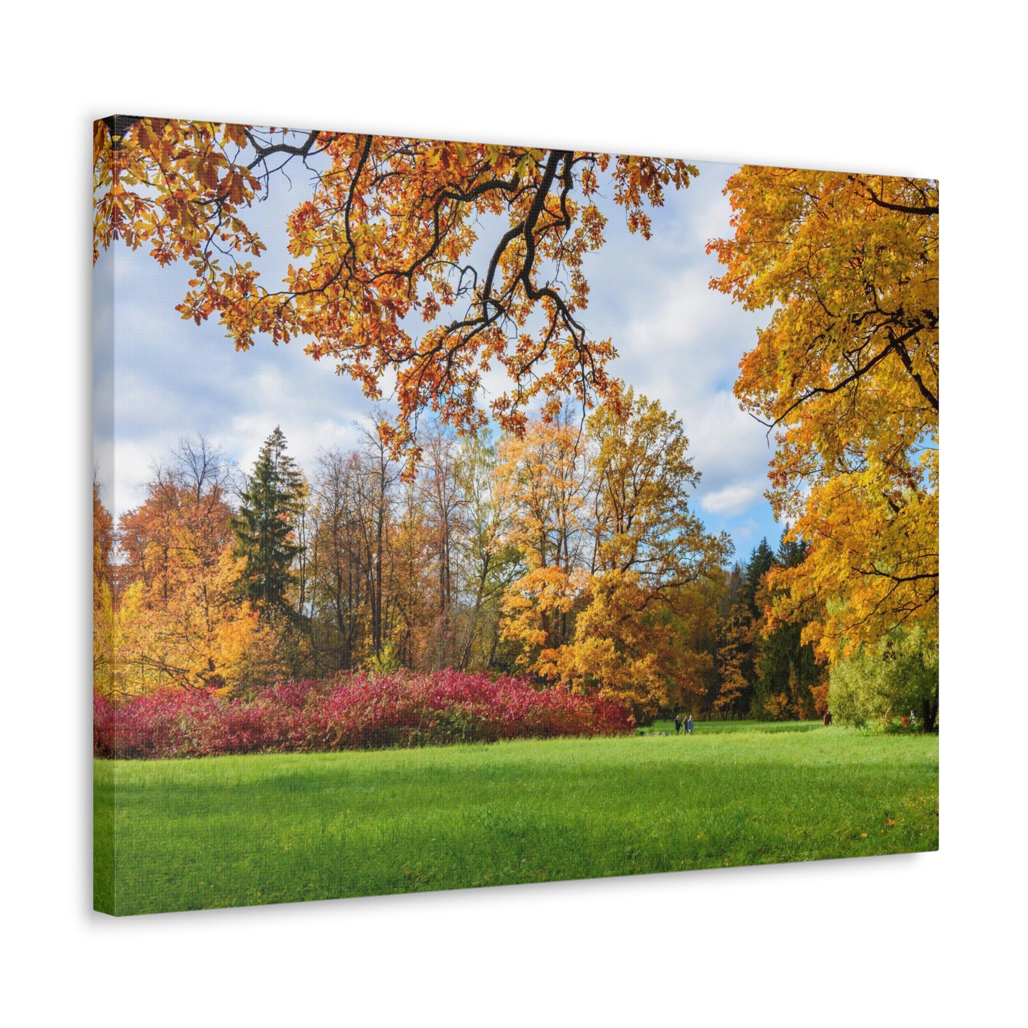 Autumn Park Tree Orange Nature Wilderness Photography Canvas Wall Art for Home Decor Ready-to-Hang-Express Your Love Gifts